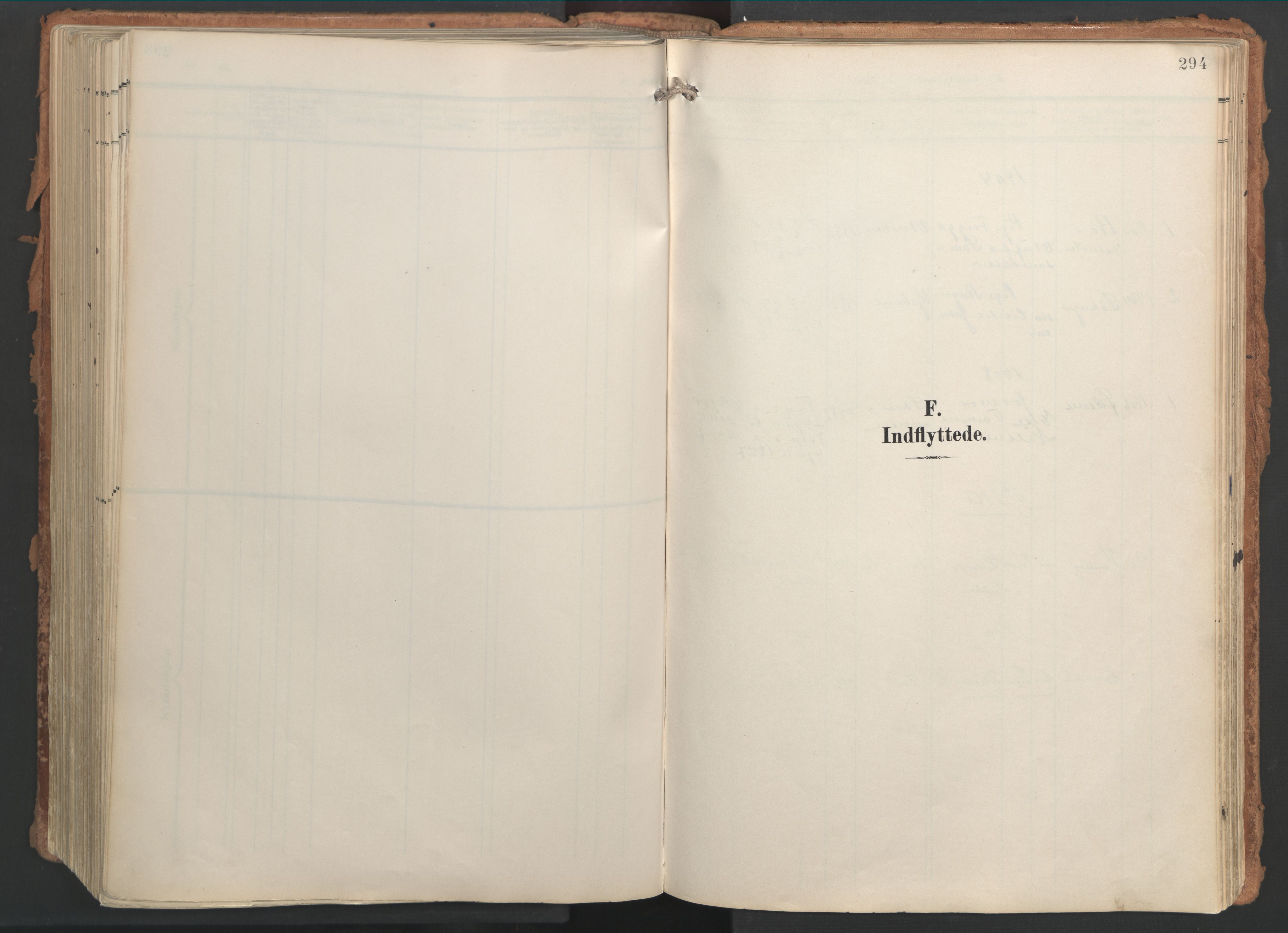 Ministerialprotokoller, klokkerbøker og fødselsregistre - Nordland, AV/SAT-A-1459/861/L0871: Parish register (official) no. 861A06, 1903-1916, p. 294
