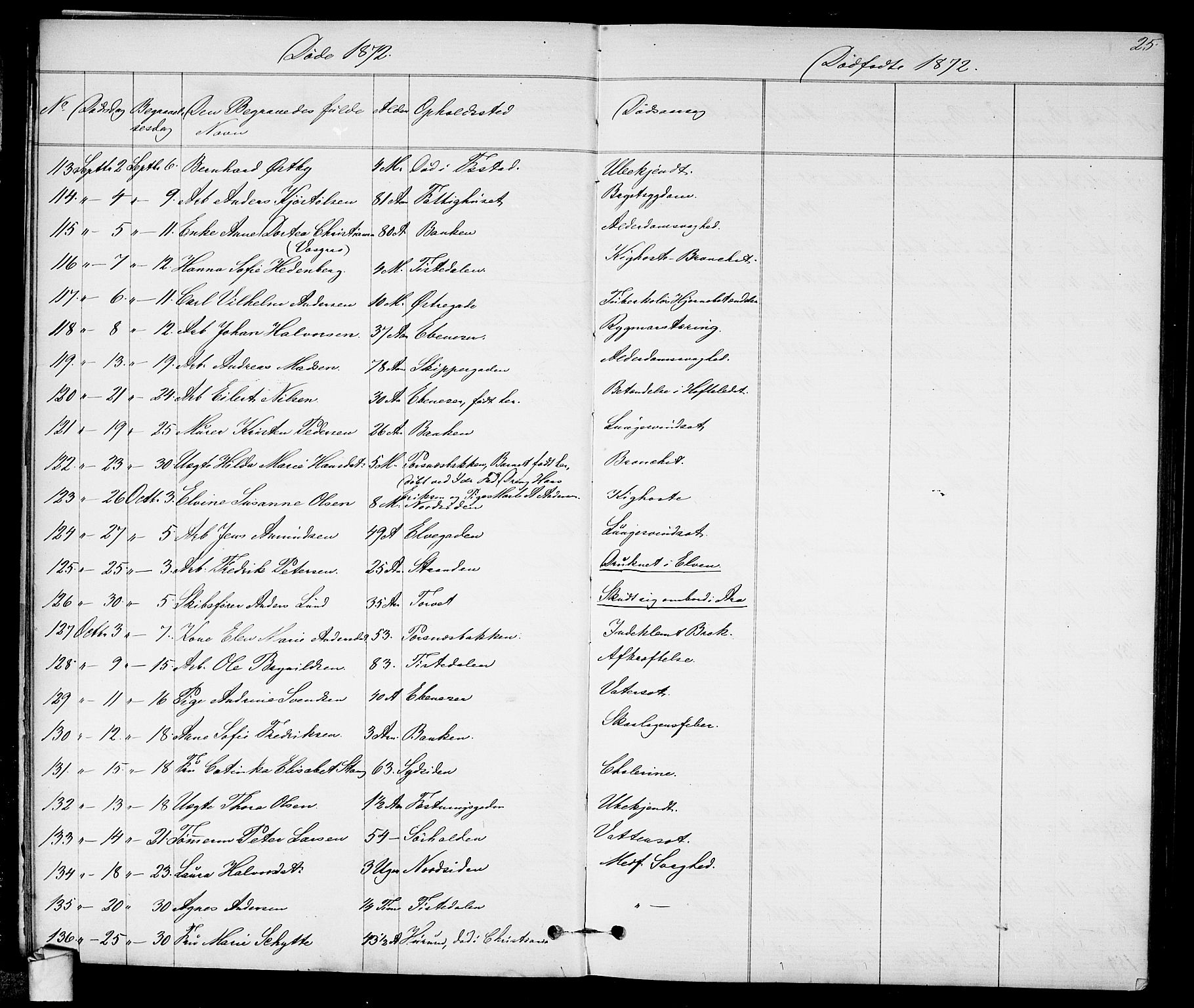 Halden prestekontor Kirkebøker, SAO/A-10909/G/Ga/L0007: Parish register (copy) no. 7, 1869-1884, p. 25