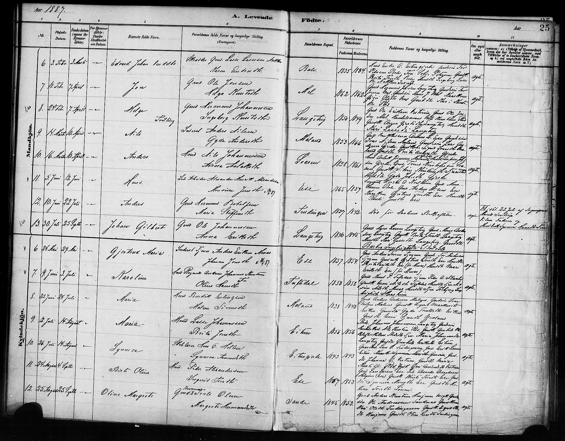 Balestrand sokneprestembete, AV/SAB-A-79601/H/Haa/Haaa/L0004: Parish register (official) no. A 4 / 1, 1879-1888, p. 25