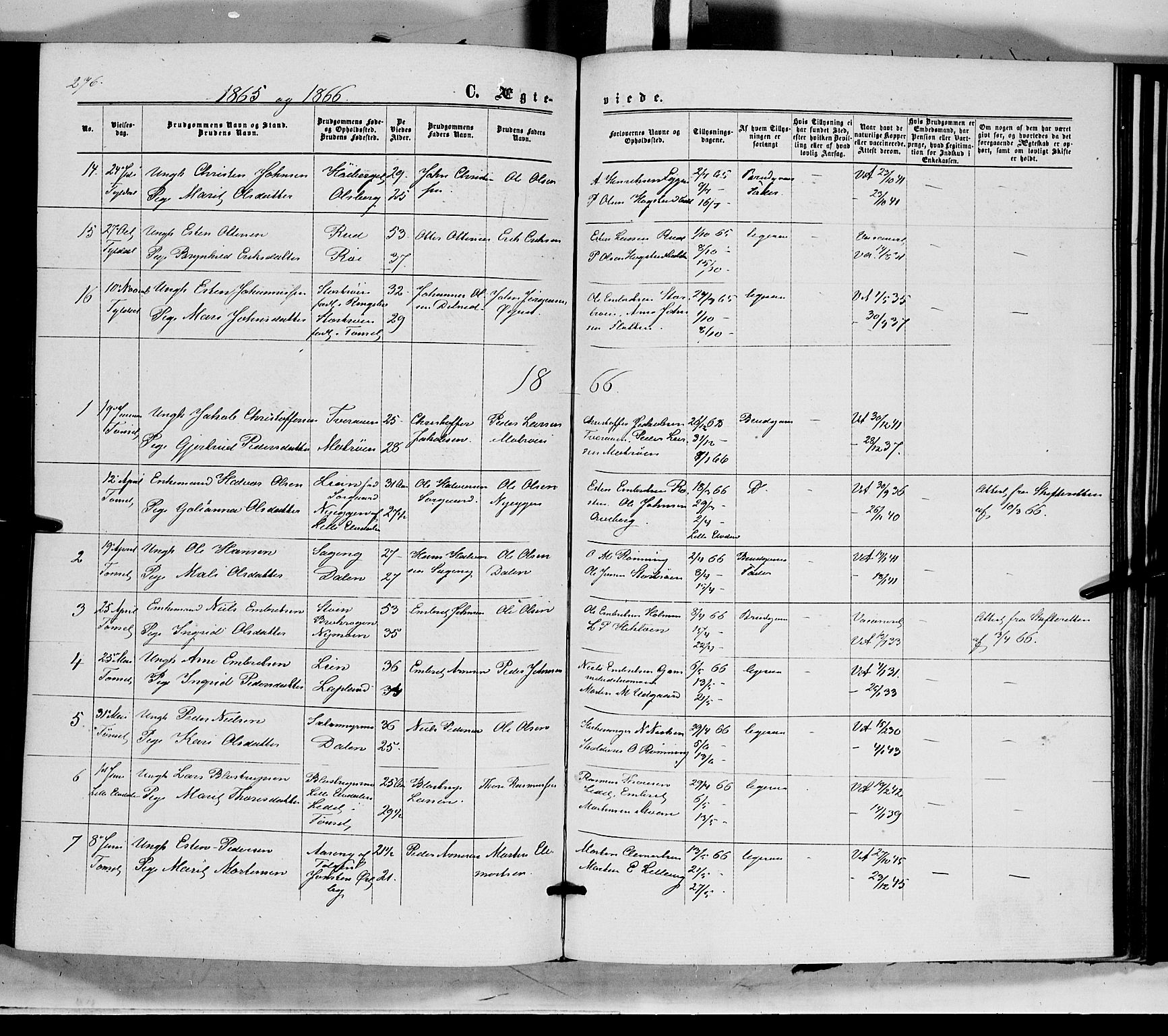 Tynset prestekontor, SAH/PREST-058/H/Ha/Haa/L0021: Parish register (official) no. 21, 1863-1879, p. 276