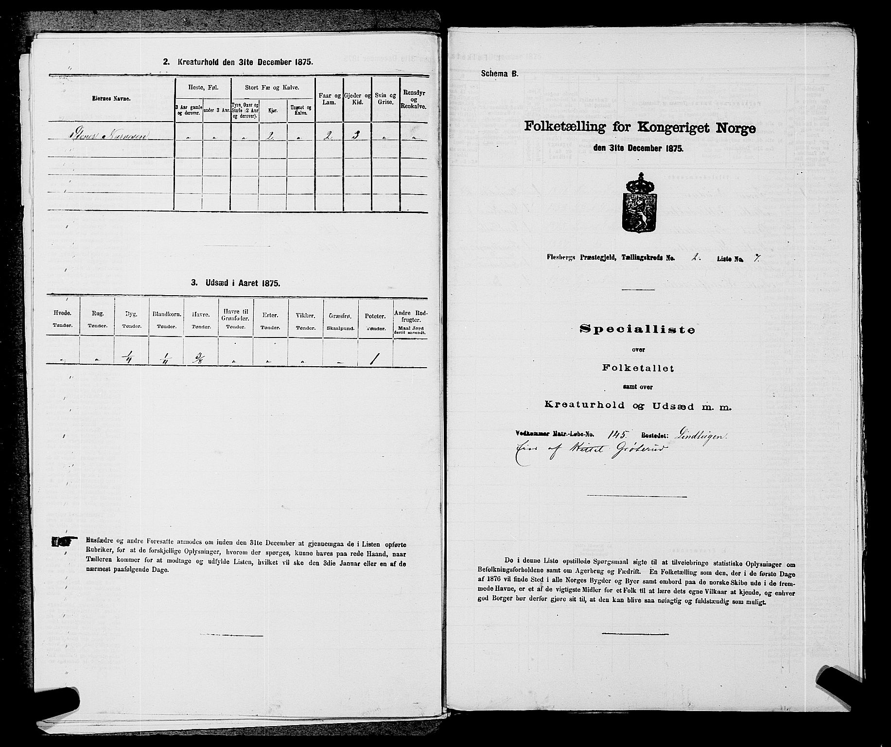 SAKO, 1875 census for 0631P Flesberg, 1875, p. 493