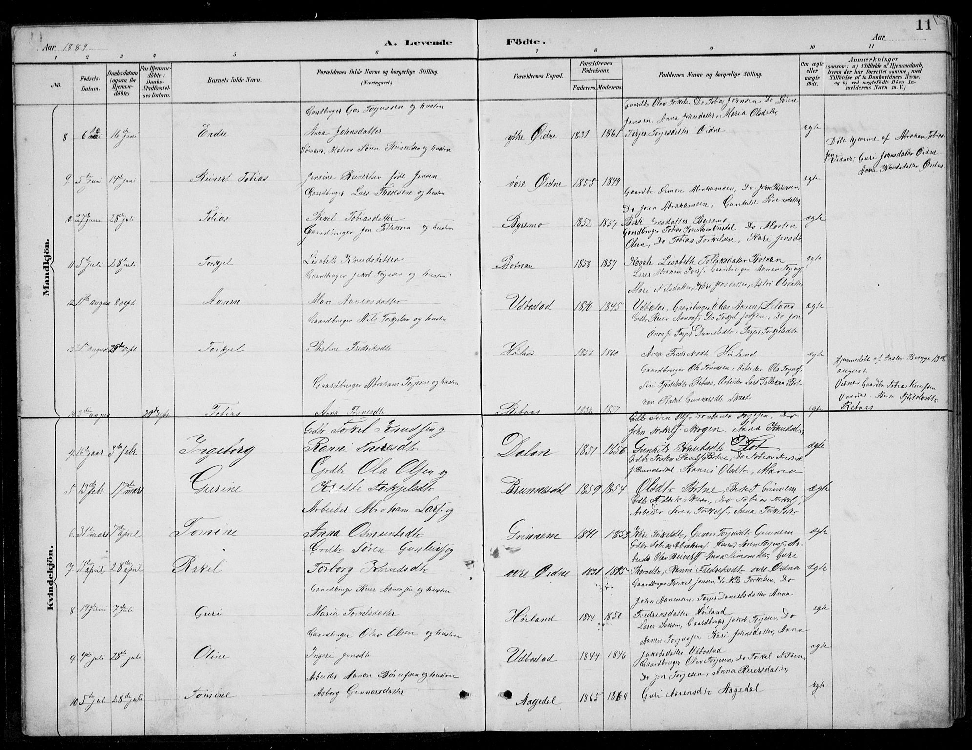 Bjelland sokneprestkontor, SAK/1111-0005/F/Fb/Fbc/L0003: Parish register (copy) no. B 3, 1887-1924, p. 11