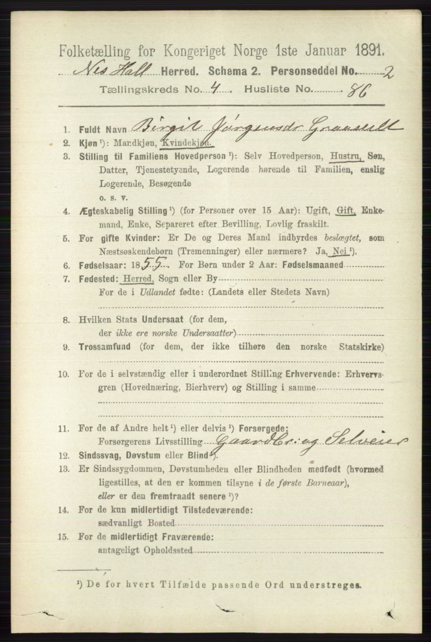 RA, 1891 census for 0616 Nes, 1891, p. 2568