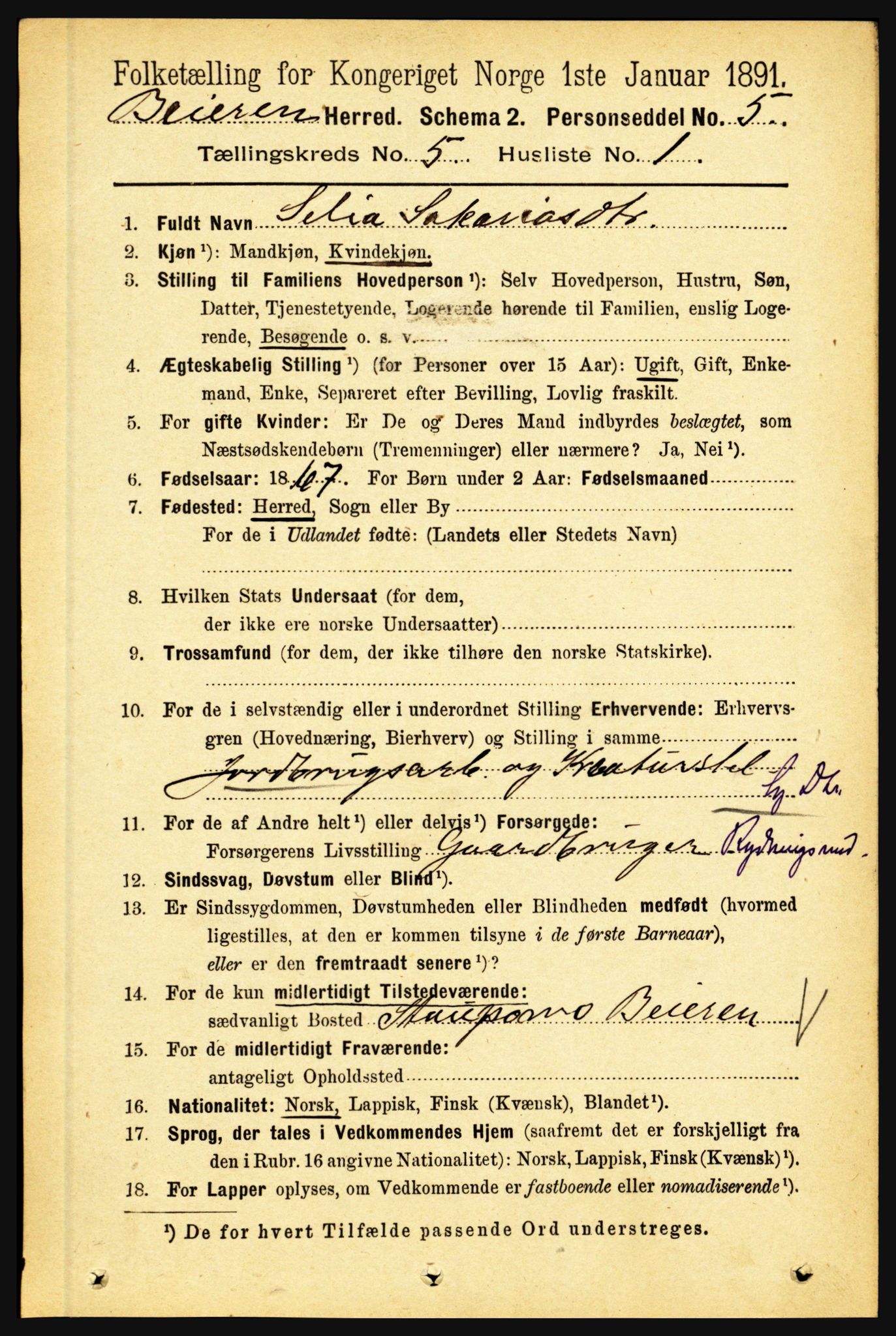 RA, 1891 census for 1839 Beiarn, 1891, p. 1735