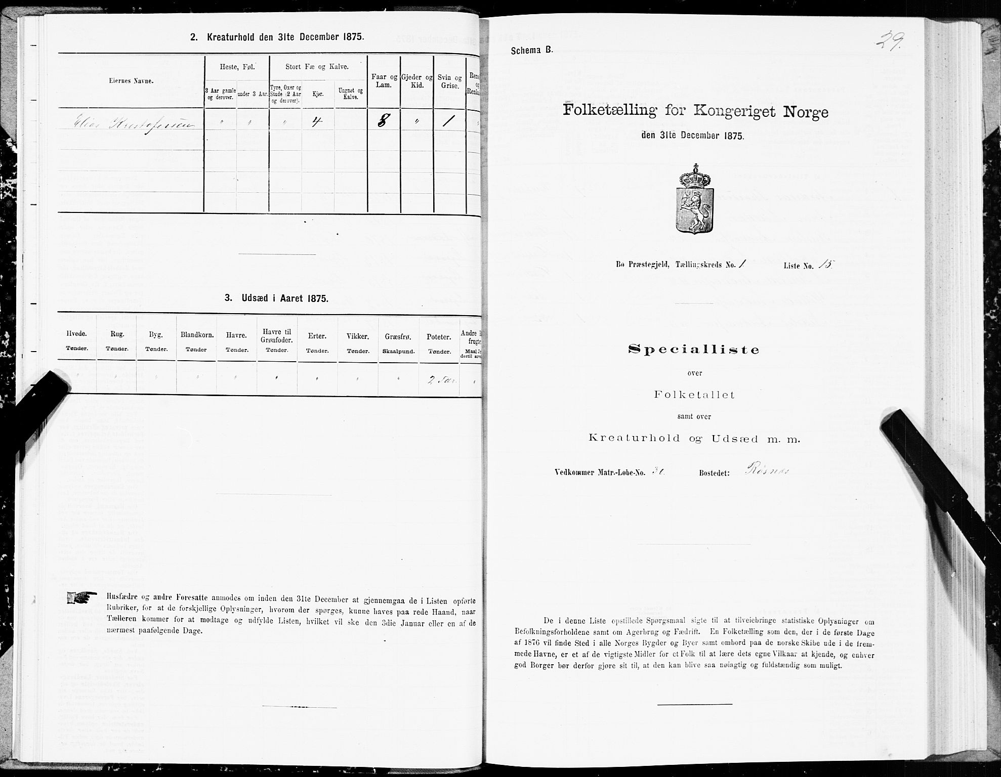 SAT, 1875 census for 1867P Bø, 1875, p. 1029