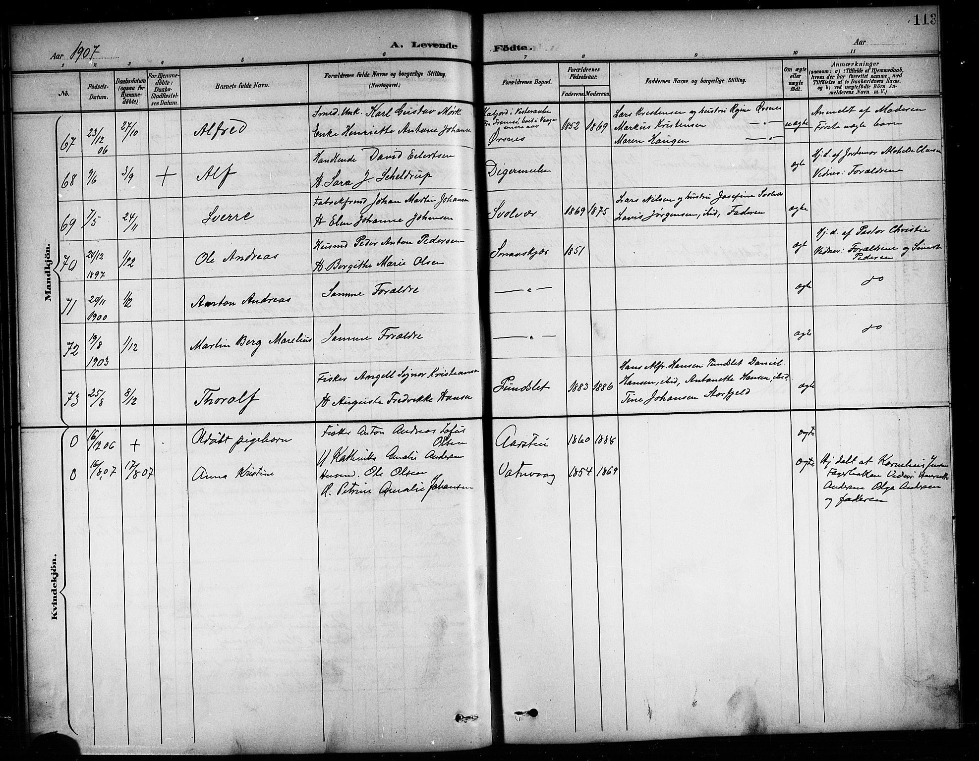 Ministerialprotokoller, klokkerbøker og fødselsregistre - Nordland, AV/SAT-A-1459/874/L1078: Parish register (copy) no. 874C07, 1900-1907, p. 113