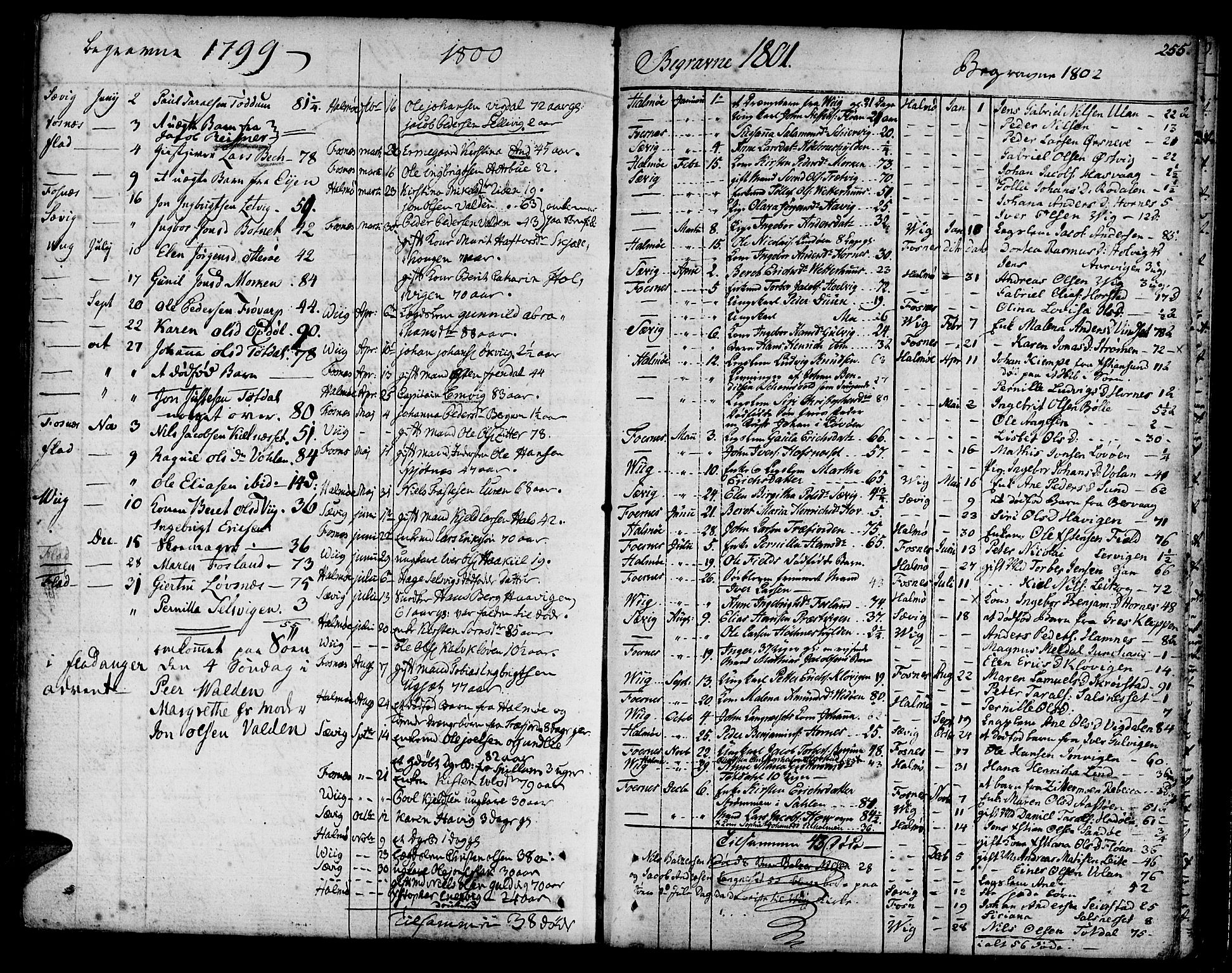Ministerialprotokoller, klokkerbøker og fødselsregistre - Nord-Trøndelag, SAT/A-1458/773/L0608: Parish register (official) no. 773A02, 1784-1816, p. 255