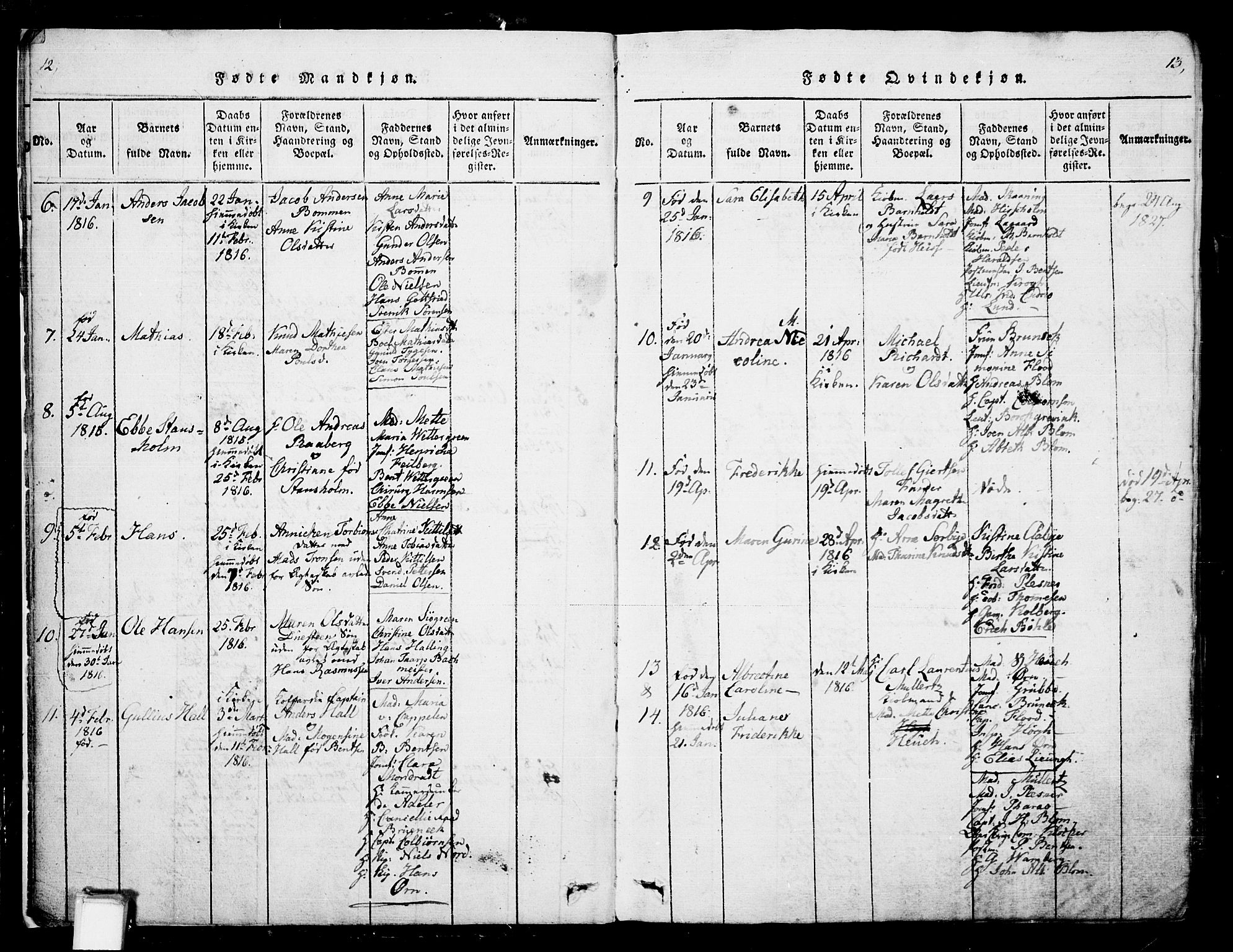 Skien kirkebøker, AV/SAKO-A-302/G/Ga/L0002: Parish register (copy) no. 2, 1814-1842, p. 12-13