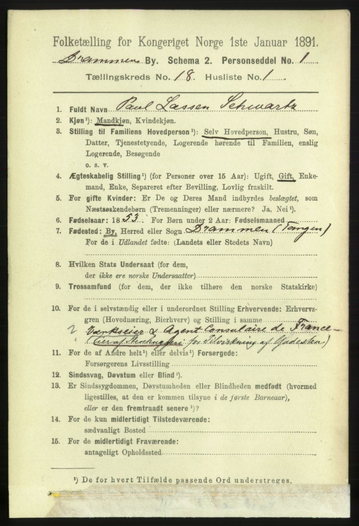 RA, 1891 census for 0602 Drammen, 1891, p. 11635