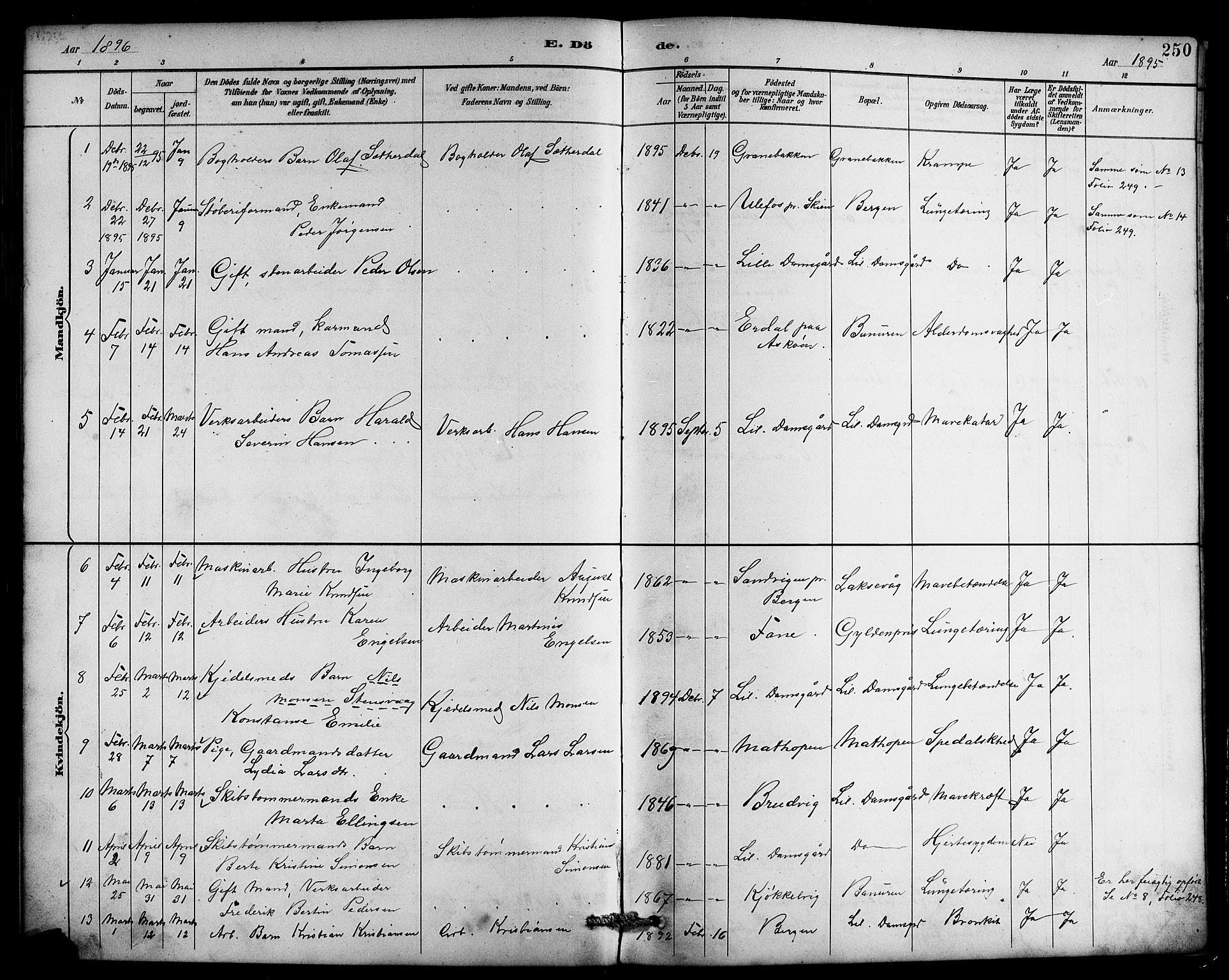 Laksevåg Sokneprestembete, AV/SAB-A-76501/H/Ha/Hab/Haba/L0003: Parish register (copy) no. A 3, 1887-1899, p. 250