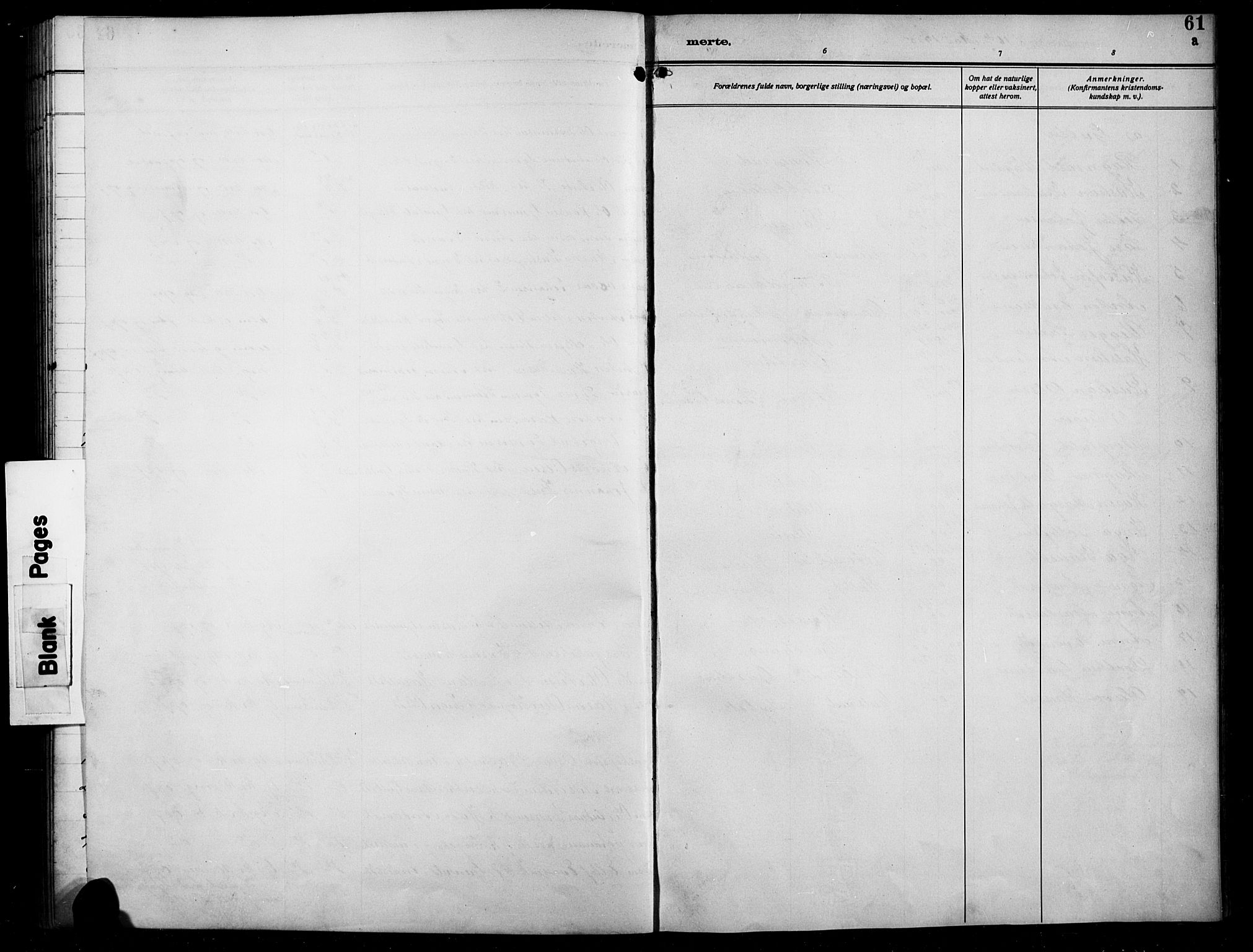 Sør-Aurdal prestekontor, SAH/PREST-128/H/Ha/Hab/L0008: Parish register (copy) no. 8, 1894-1921, p. 61