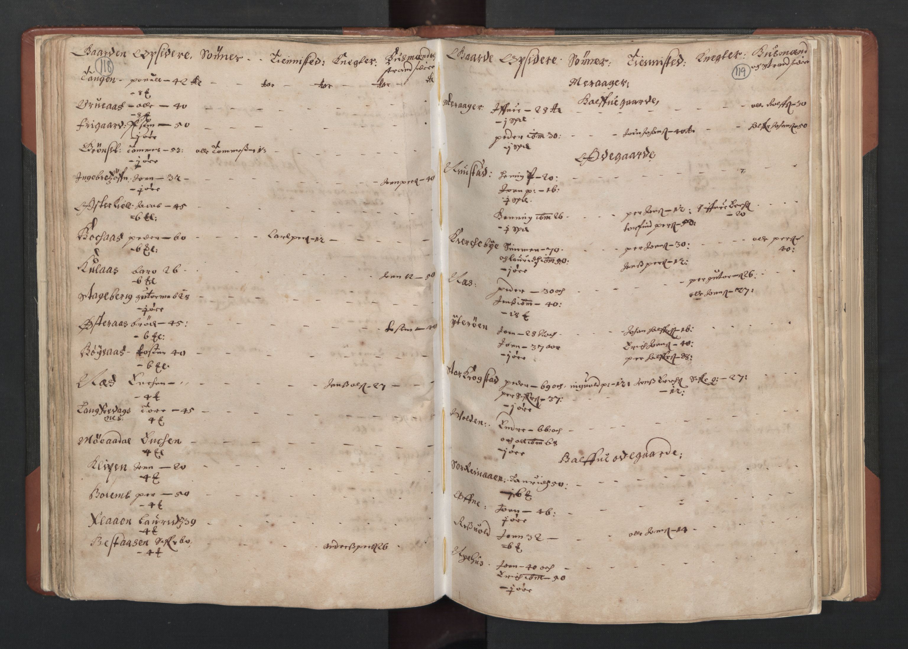 RA, Bailiff's Census 1664-1666, no. 19: Fosen fogderi, Inderøy fogderi, Selbu fogderi, Namdal fogderi and Stjørdal fogderi, 1664-1665, p. 118-119