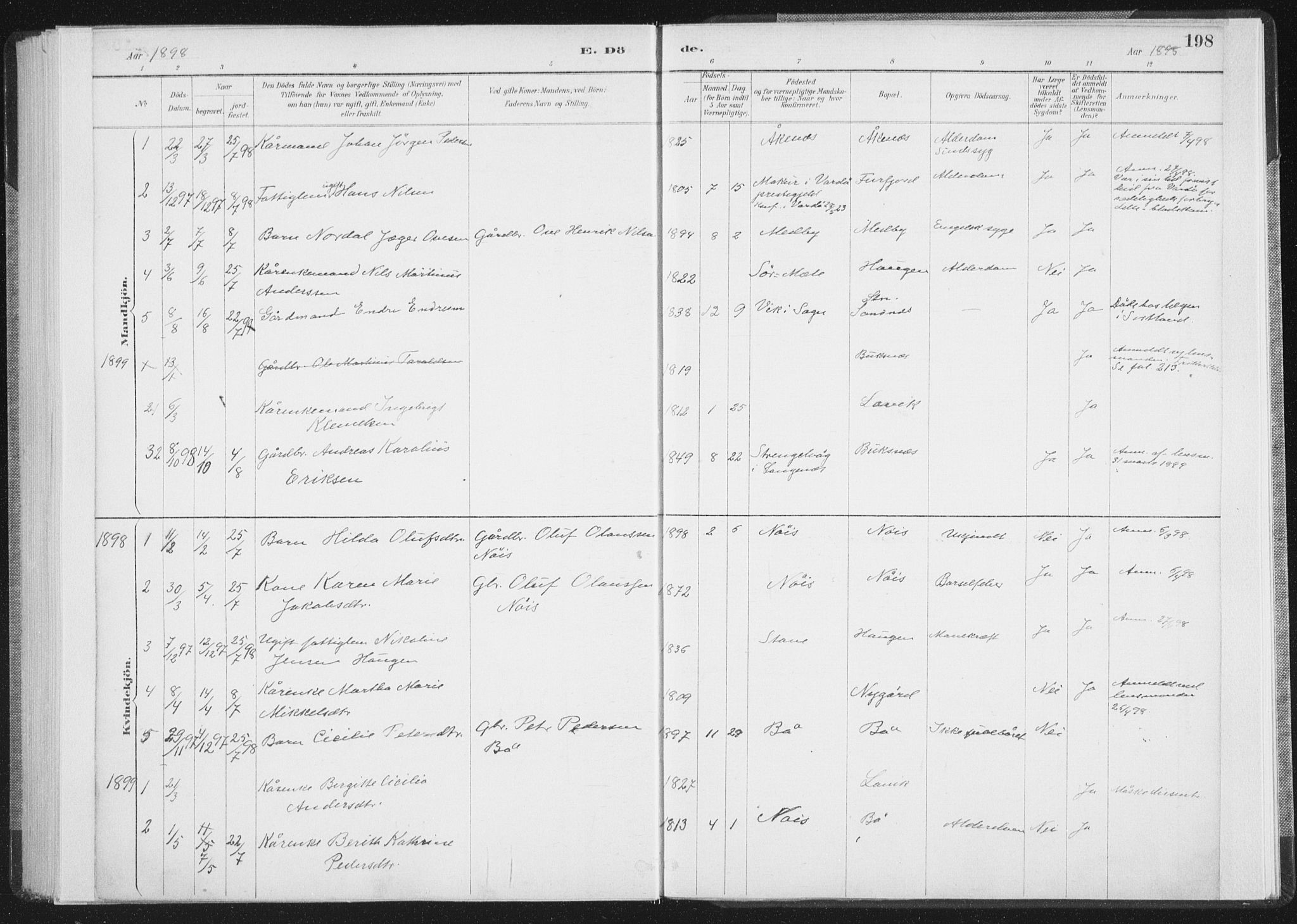 Ministerialprotokoller, klokkerbøker og fødselsregistre - Nordland, AV/SAT-A-1459/898/L1422: Parish register (official) no. 898A02, 1887-1908, p. 198