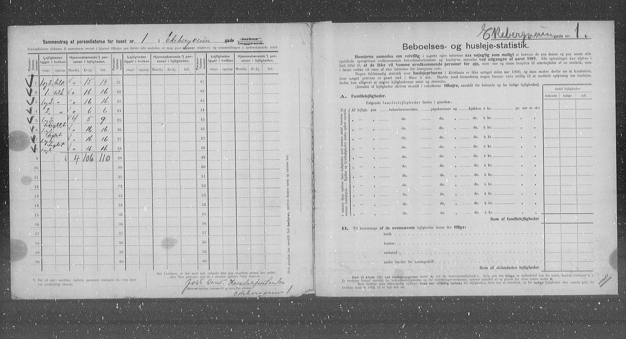 OBA, Municipal Census 1905 for Kristiania, 1905, p. 10113