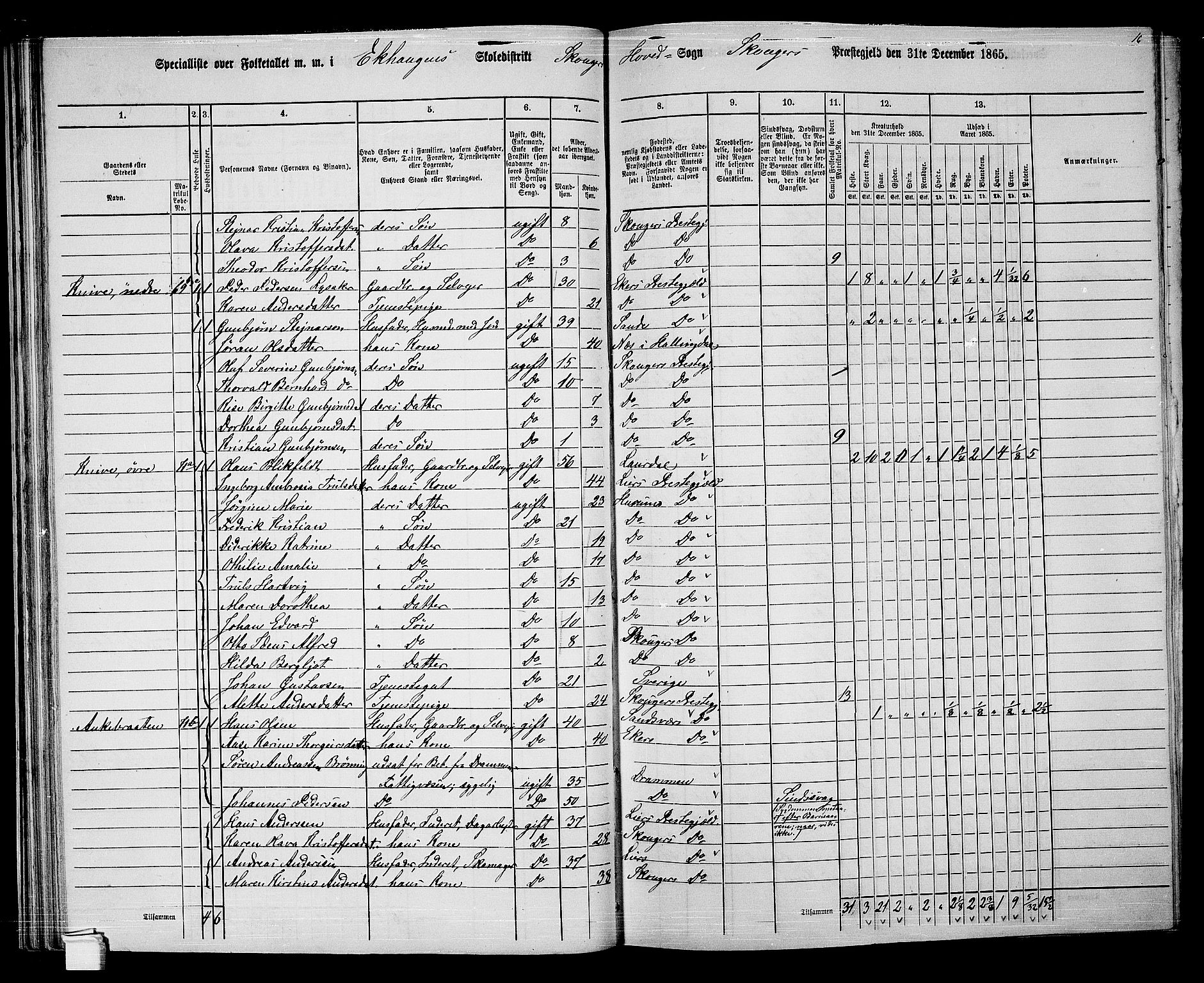 RA, 1865 census for Skoger, 1865, p. 56