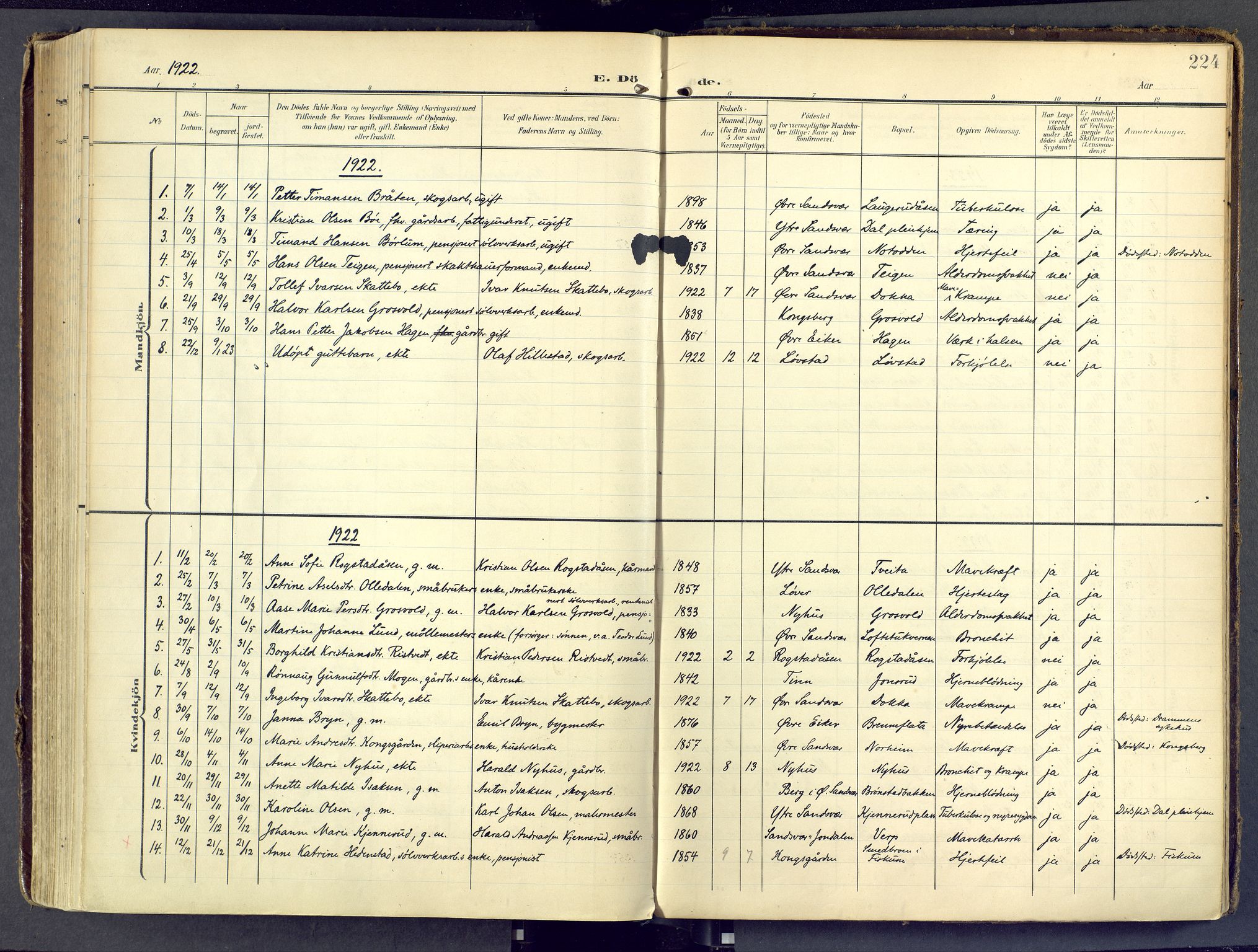 Sandsvær kirkebøker, SAKO/A-244/F/Fd/L0002: Parish register (official) no. IV 2, 1906-1943, p. 224
