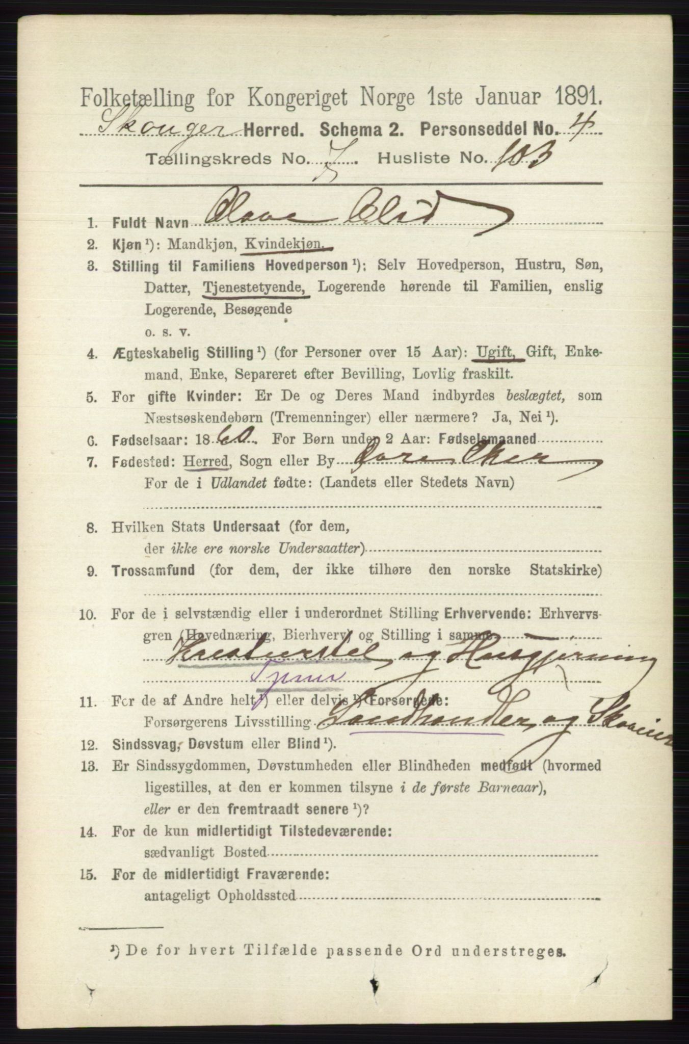 RA, 1891 census for 0712 Skoger, 1891, p. 4309