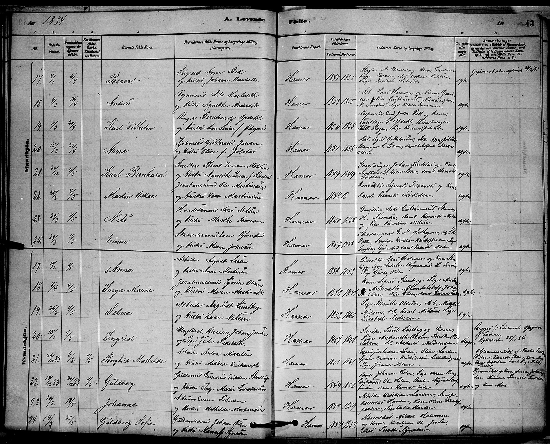 Vang prestekontor, Hedmark, SAH/PREST-008/H/Ha/Hab/L0012: Parish register (copy) no. 12, 1878-1889, p. 43