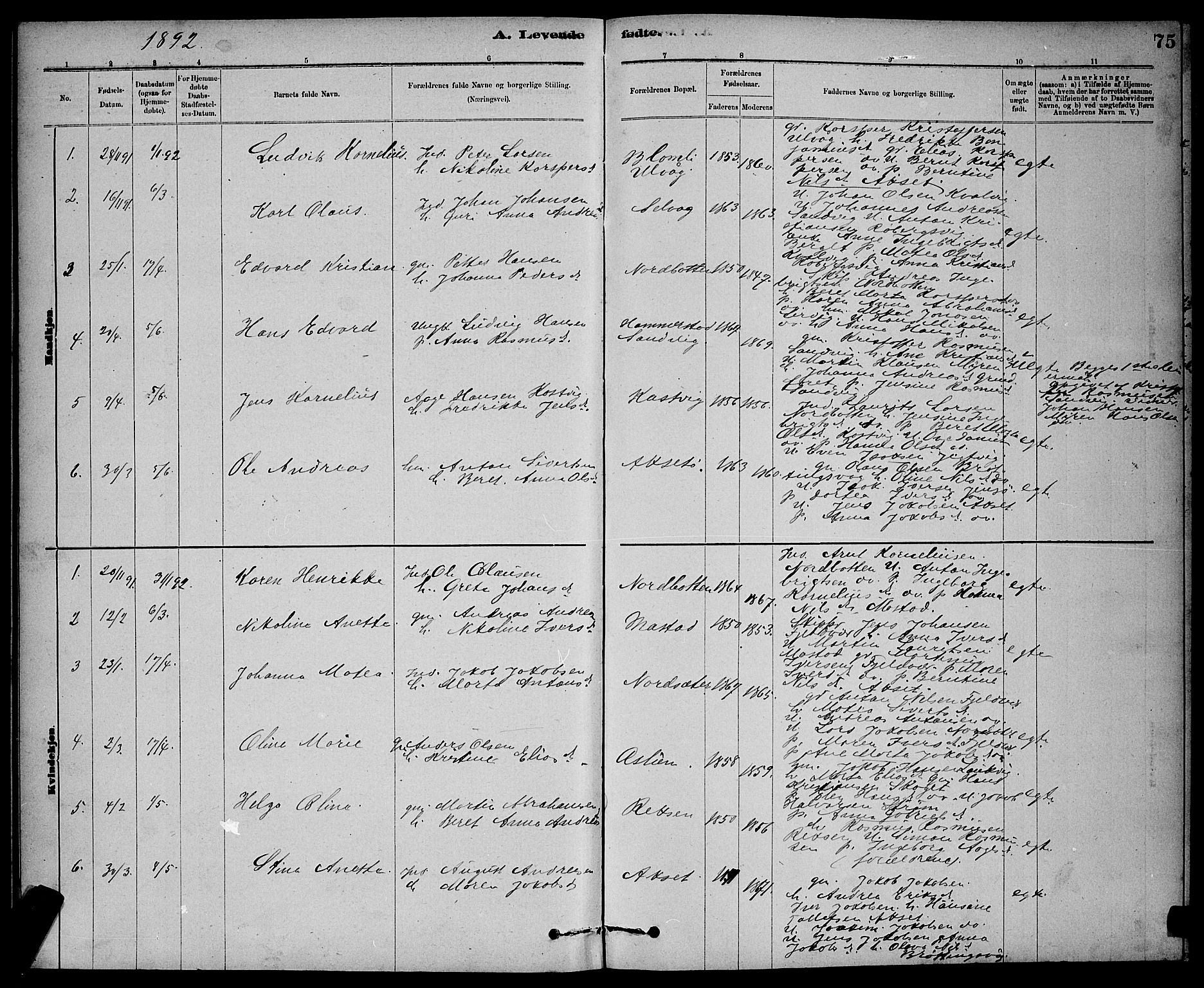 Ministerialprotokoller, klokkerbøker og fødselsregistre - Sør-Trøndelag, SAT/A-1456/637/L0562: Parish register (copy) no. 637C03, 1883-1898, p. 75