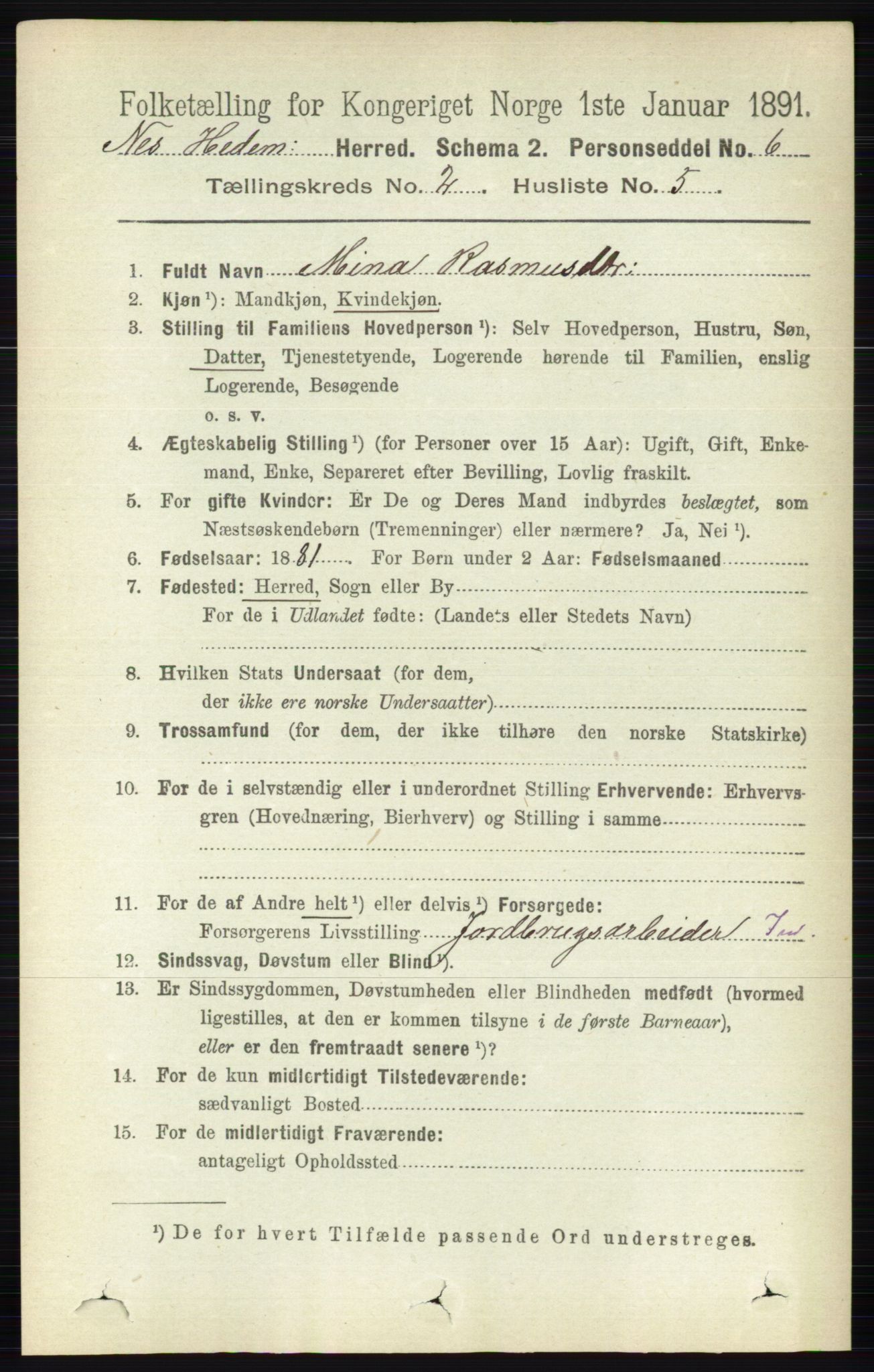 RA, 1891 census for 0411 Nes, 1891, p. 1106