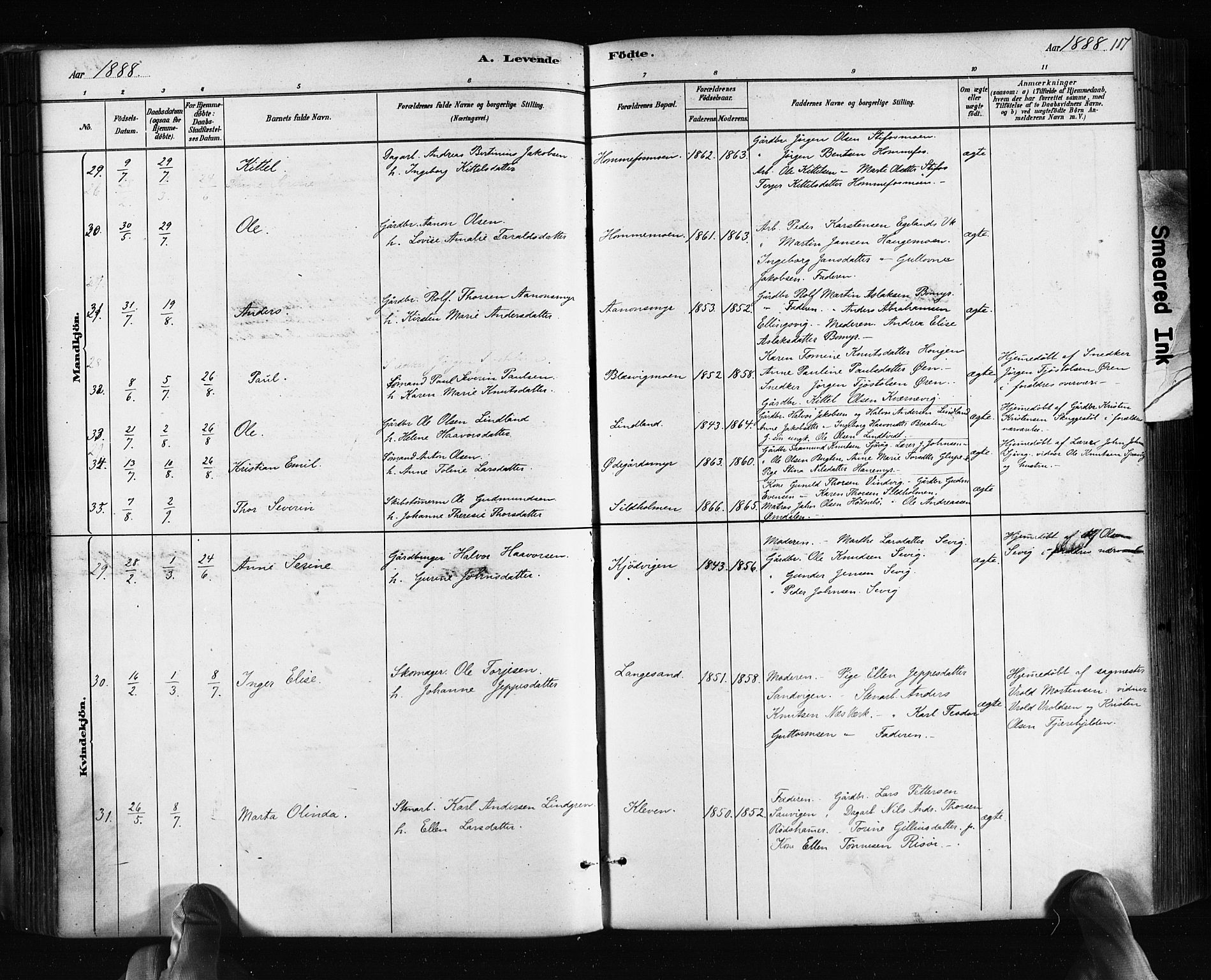 Søndeled sokneprestkontor, AV/SAK-1111-0038/F/Fa/L0004: Parish register (official) no. A 4, 1880-1889, p. 117