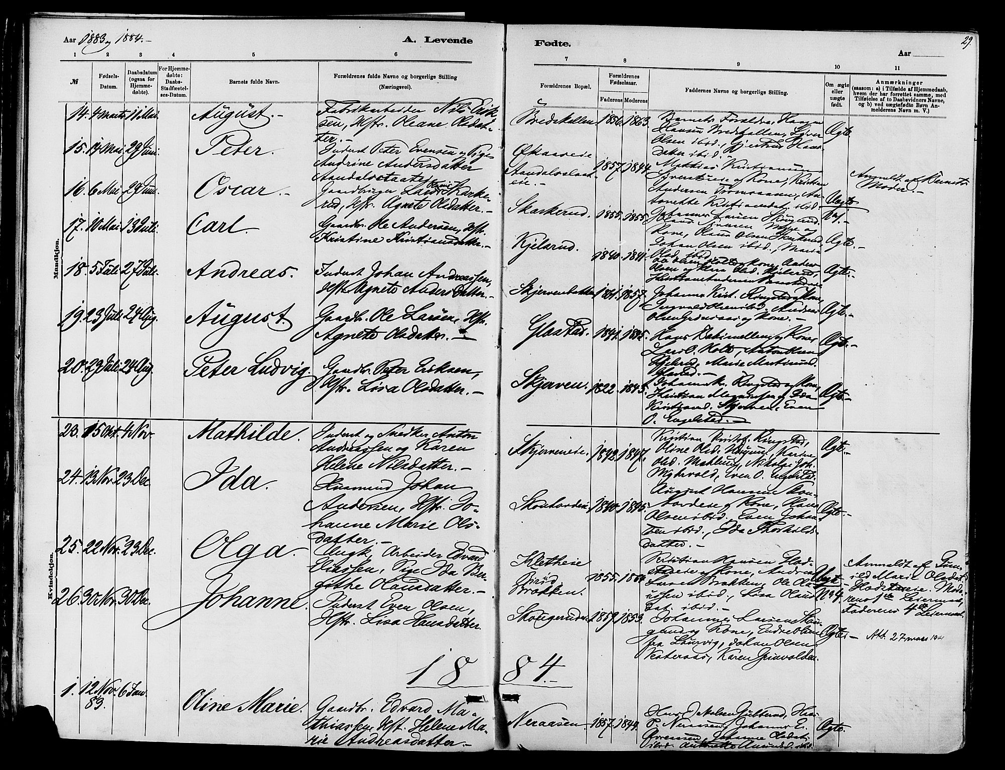 Vardal prestekontor, AV/SAH-PREST-100/H/Ha/Haa/L0010: Parish register (official) no. 10, 1878-1893, p. 29