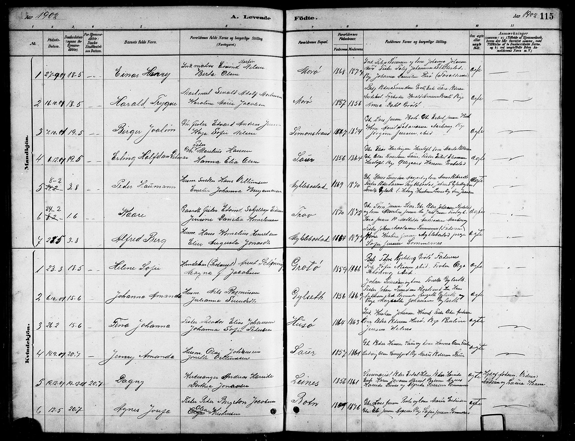 Ministerialprotokoller, klokkerbøker og fødselsregistre - Nordland, AV/SAT-A-1459/857/L0828: Parish register (copy) no. 857C03, 1879-1908, p. 115