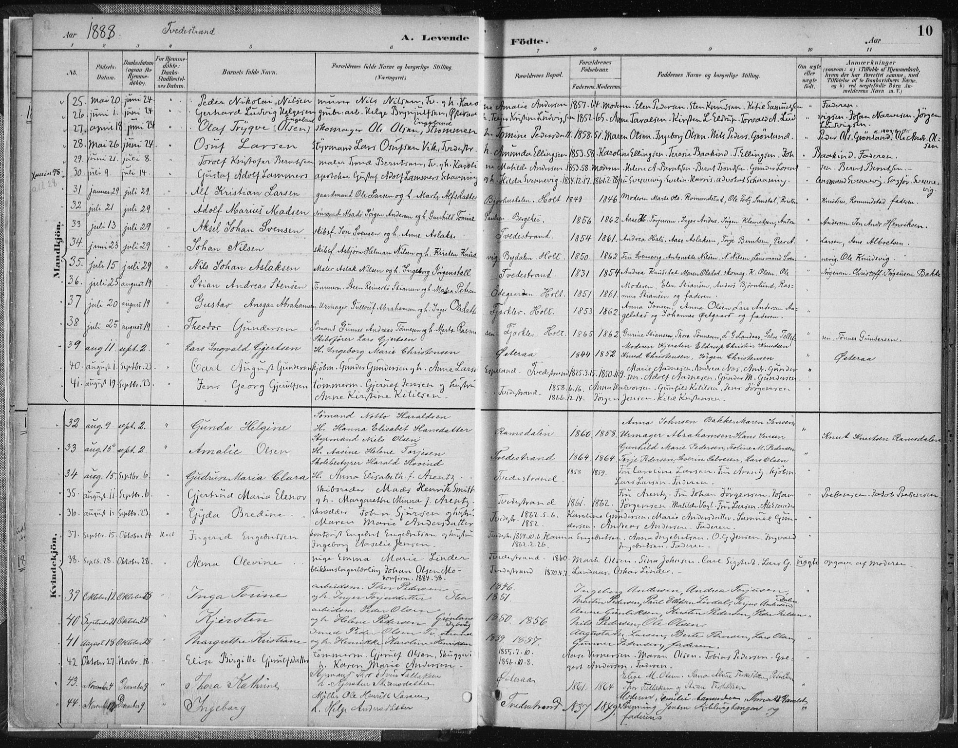 Tvedestrand sokneprestkontor, SAK/1111-0042/F/Fa/L0001: Parish register (official) no. A 1, 1885-1916, p. 10