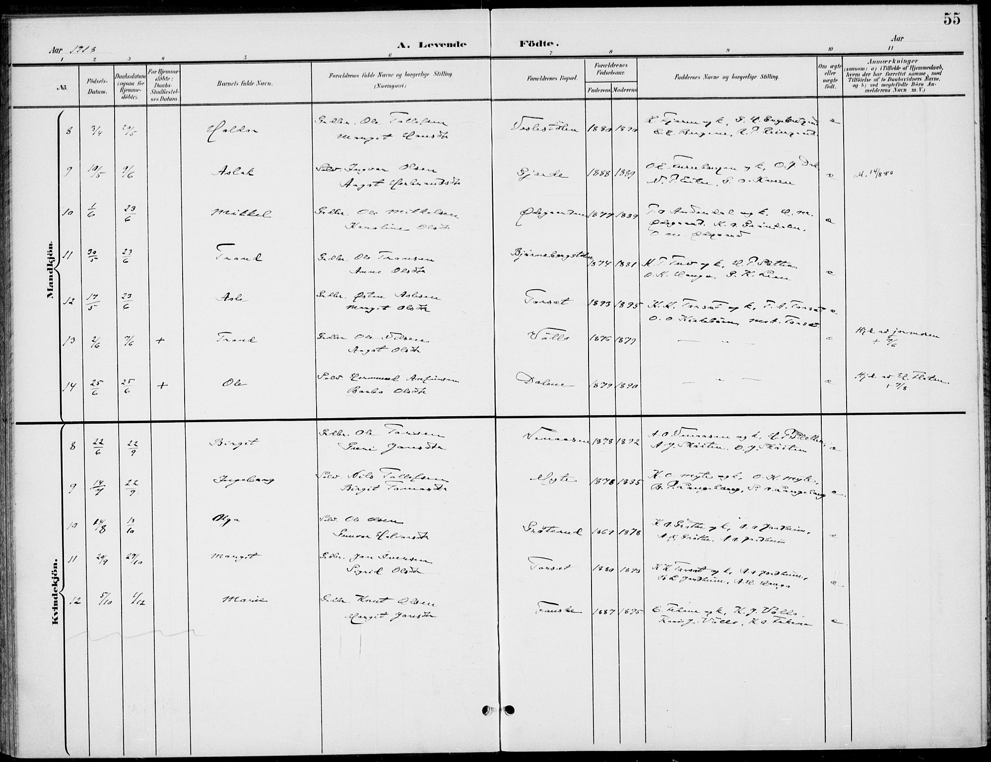 Gol kirkebøker, AV/SAKO-A-226/F/Fb/L0002: Parish register (official) no. II 2, 1900-1921, p. 55