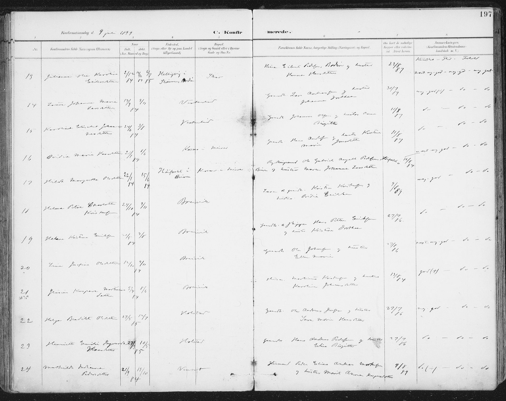 Ministerialprotokoller, klokkerbøker og fødselsregistre - Nordland, AV/SAT-A-1459/852/L0741: Parish register (official) no. 852A11, 1894-1917, p. 197