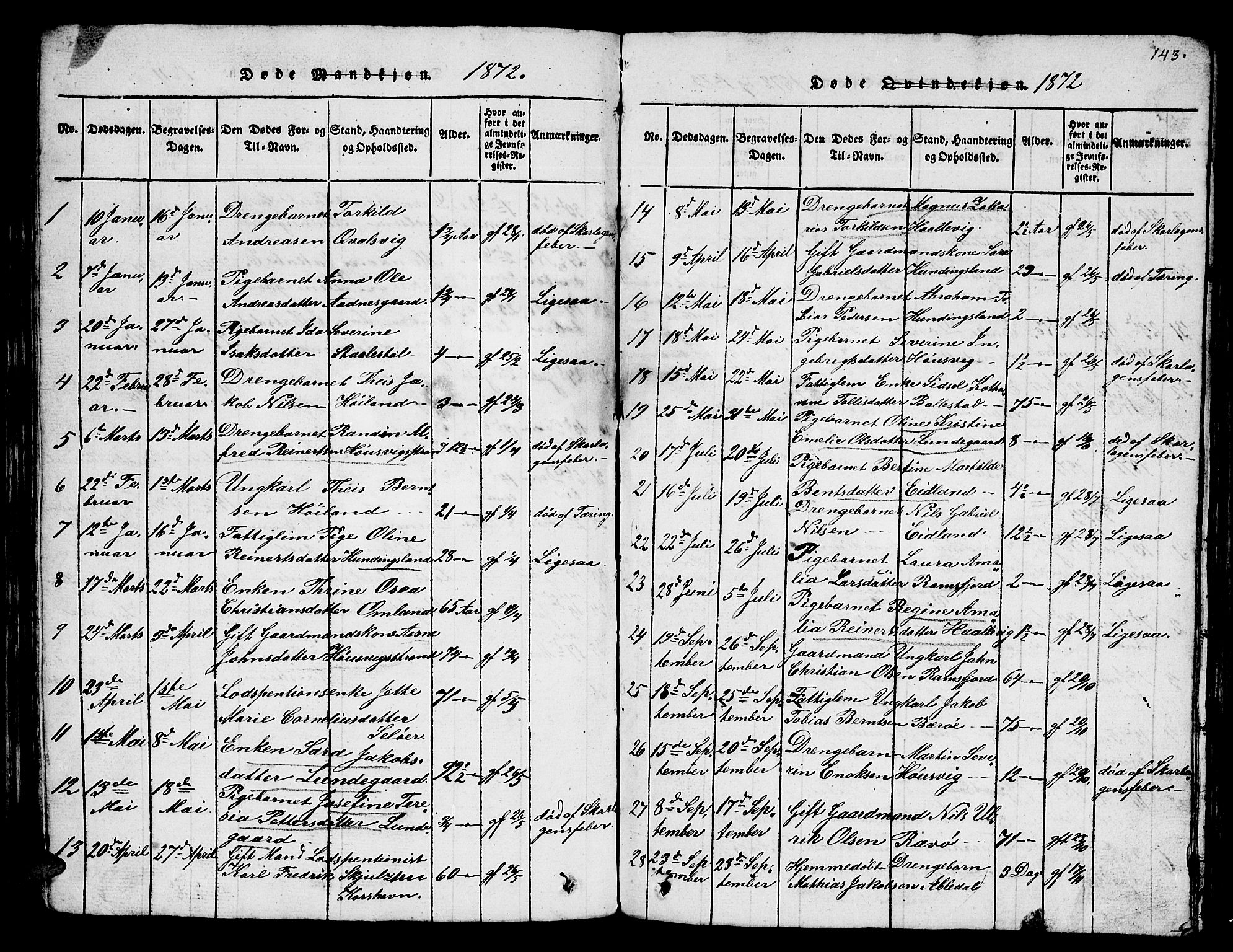 Lyngdal sokneprestkontor, SAK/1111-0029/F/Fb/Fba/L0001: Parish register (copy) no. B 1, 1816-1876, p. 143
