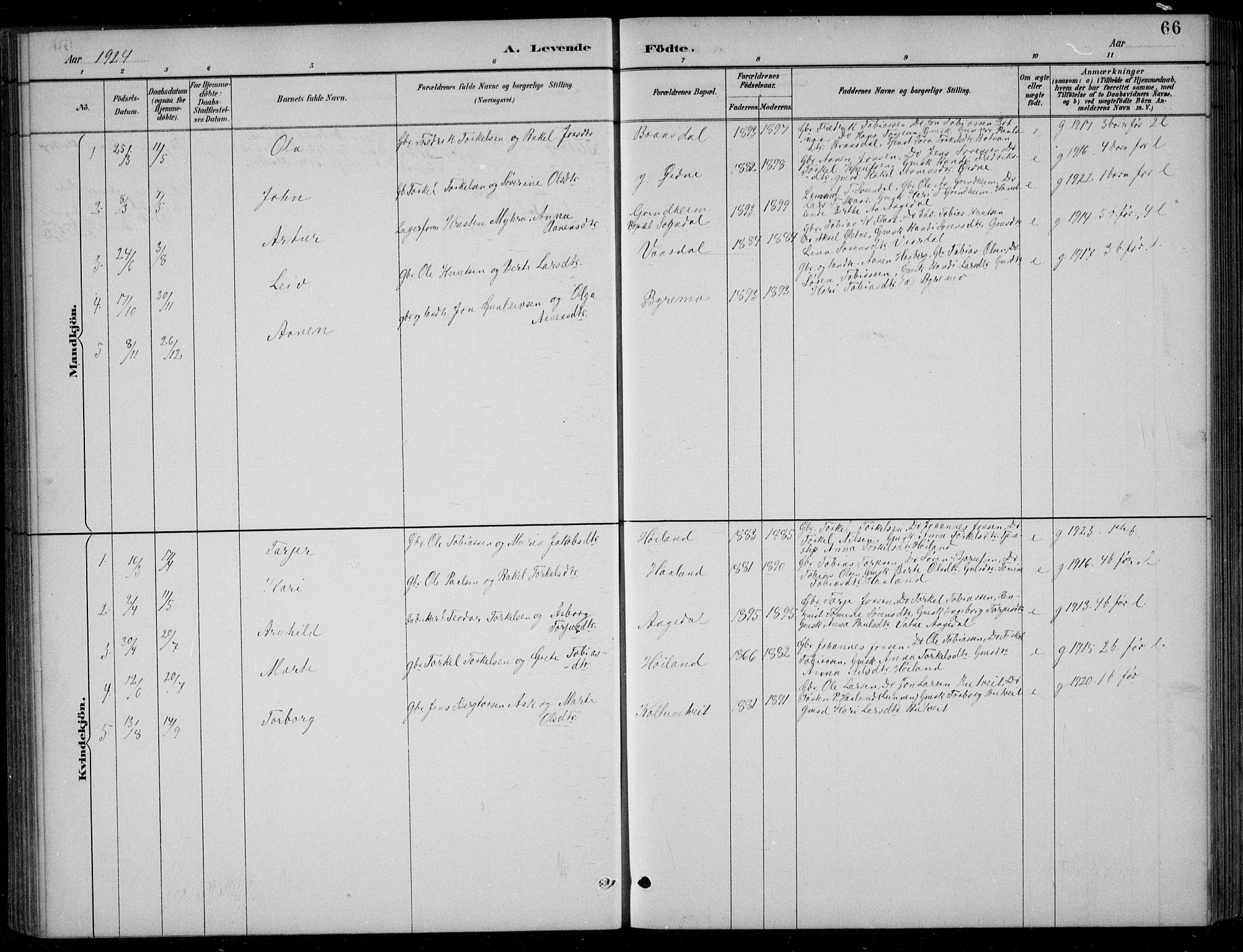 Bjelland sokneprestkontor, SAK/1111-0005/F/Fb/Fbc/L0003: Parish register (copy) no. B 3, 1887-1924, p. 66