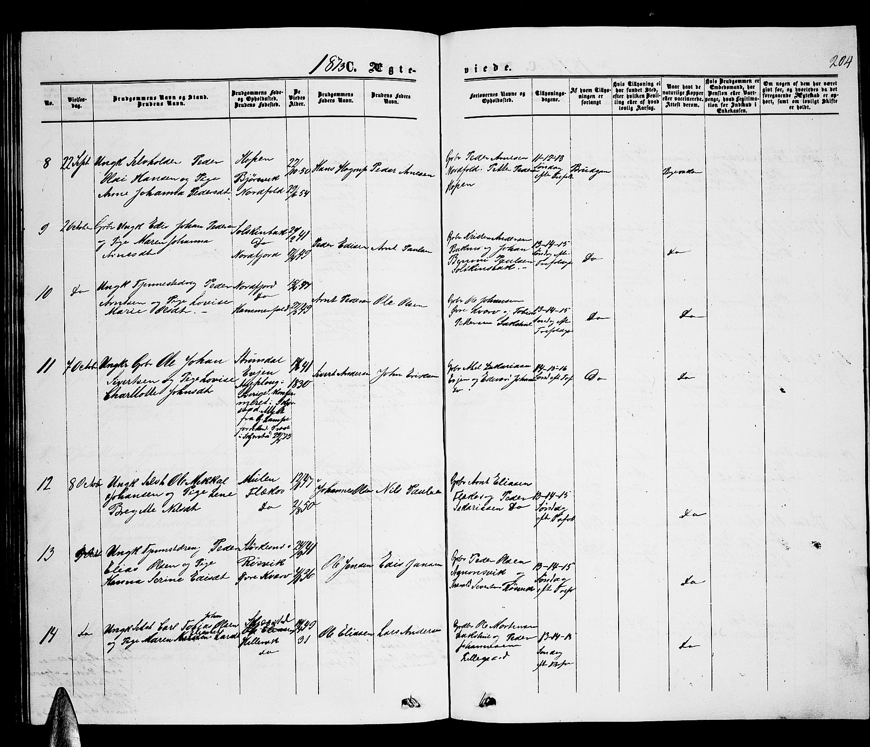 Ministerialprotokoller, klokkerbøker og fødselsregistre - Nordland, AV/SAT-A-1459/853/L0775: Parish register (copy) no. 853C03, 1859-1877, p. 204