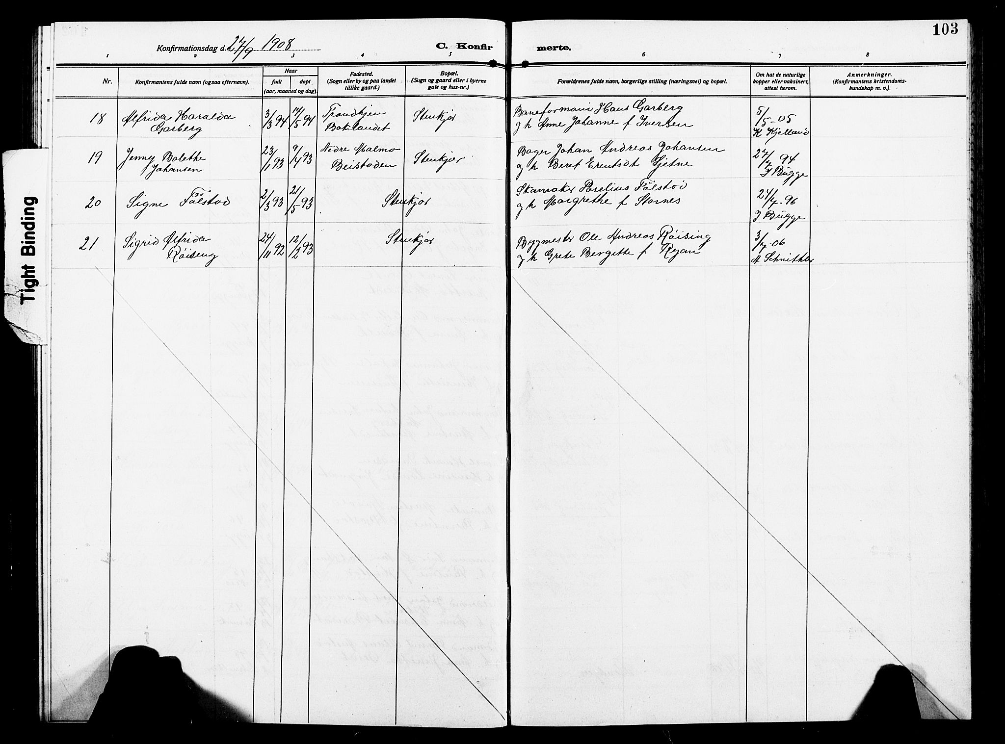 Ministerialprotokoller, klokkerbøker og fødselsregistre - Nord-Trøndelag, SAT/A-1458/739/L0376: Parish register (copy) no. 739C04, 1908-1917, p. 103