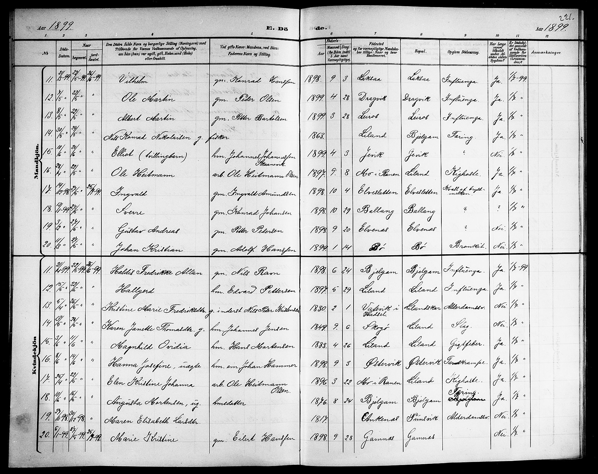 Ministerialprotokoller, klokkerbøker og fødselsregistre - Nordland, SAT/A-1459/863/L0915: Parish register (copy) no. 863C05, 1898-1907, p. 221