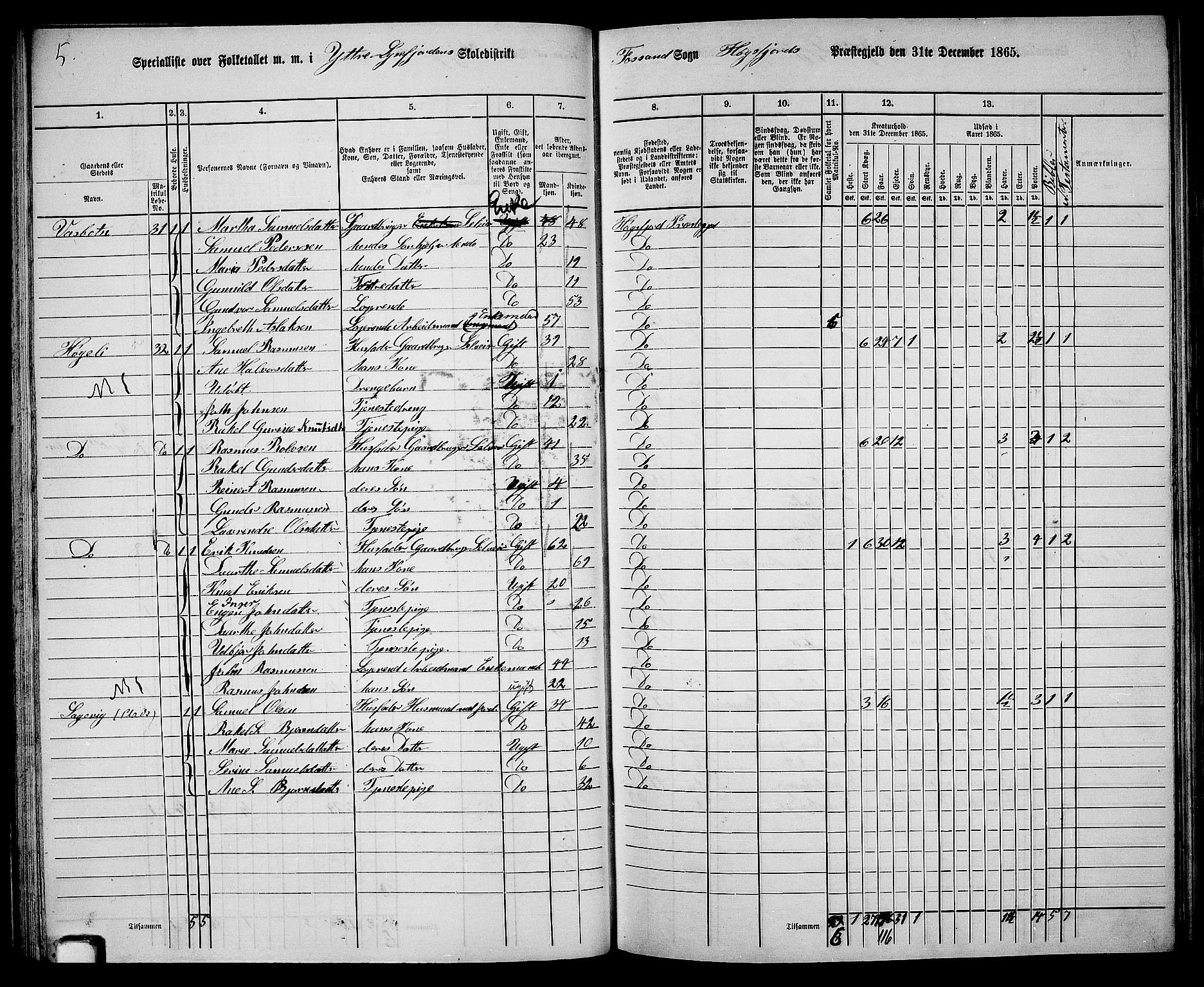 RA, 1865 census for Høgsfjord, 1865, p. 43