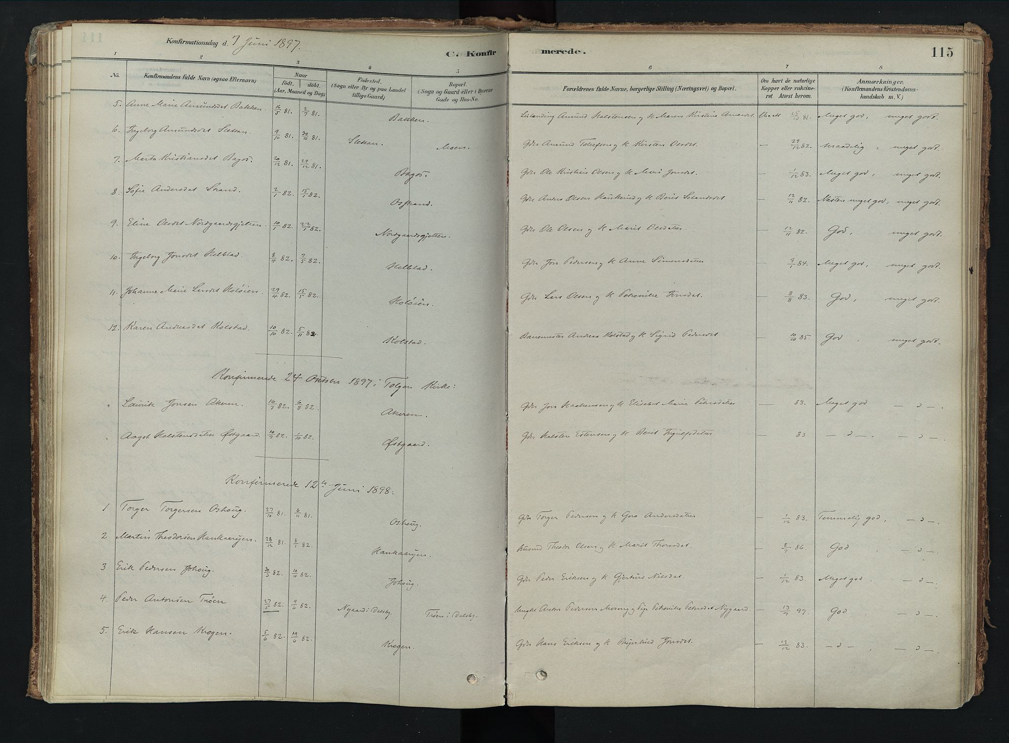 Tolga prestekontor, AV/SAH-PREST-062/K/L0008: Parish register (official) no. 8, 1877-1910, p. 115