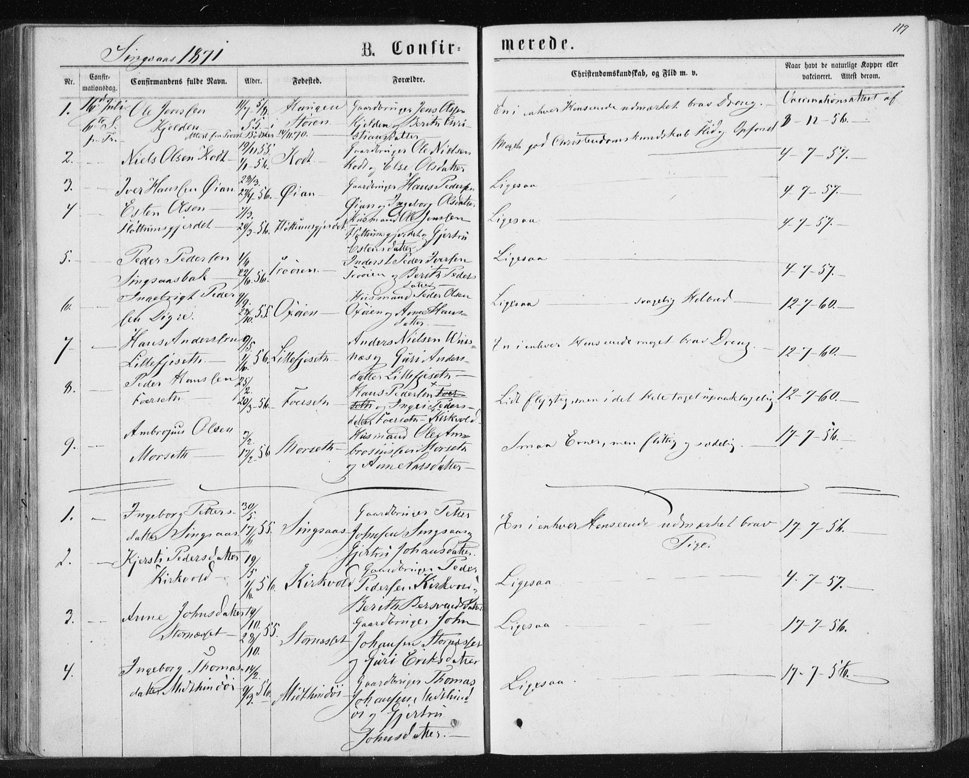 Ministerialprotokoller, klokkerbøker og fødselsregistre - Sør-Trøndelag, SAT/A-1456/685/L0970: Parish register (official) no. 685A08 /2, 1870-1878, p. 117