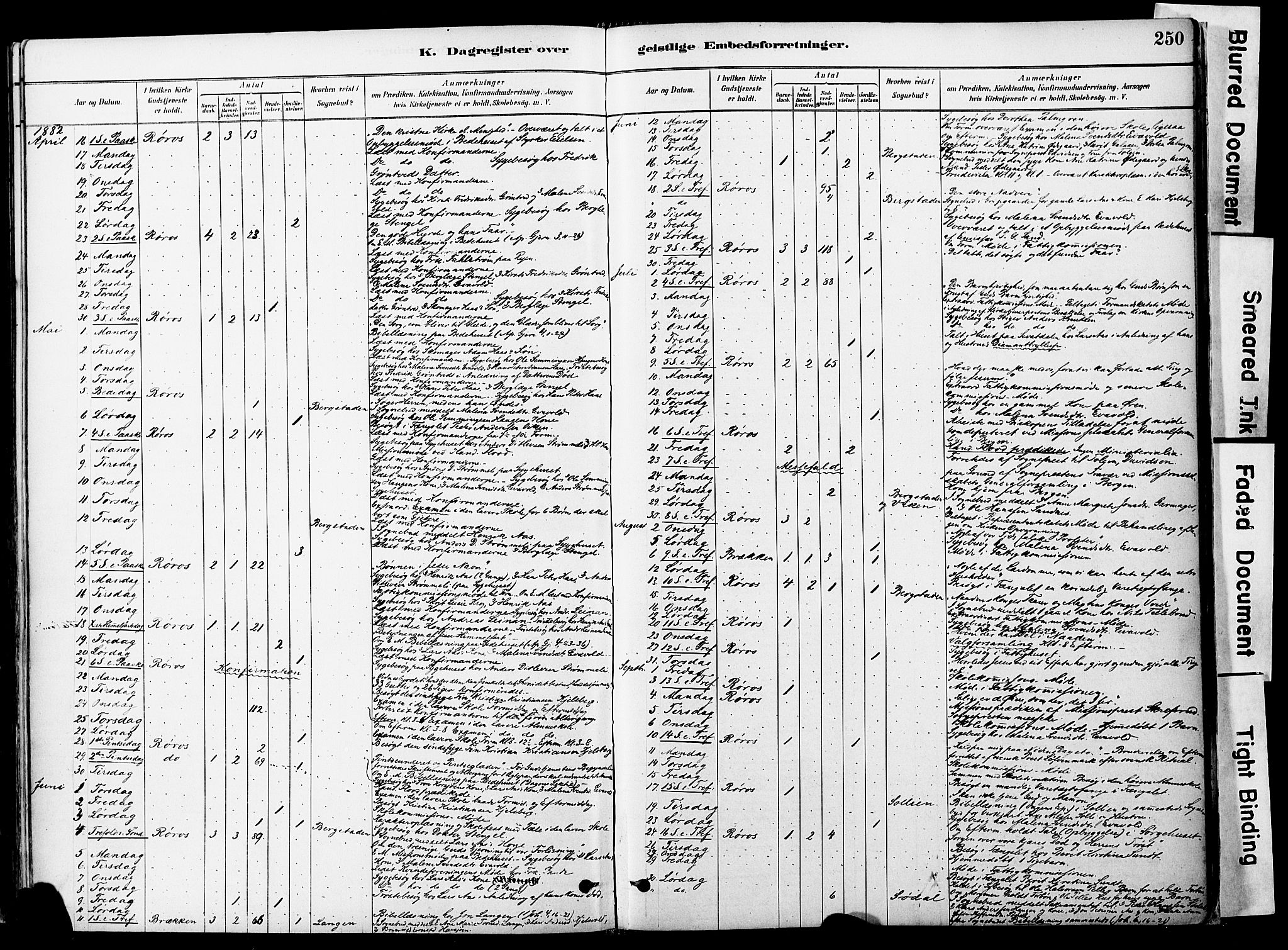 Ministerialprotokoller, klokkerbøker og fødselsregistre - Sør-Trøndelag, AV/SAT-A-1456/681/L0933: Parish register (official) no. 681A11, 1879-1890, p. 250