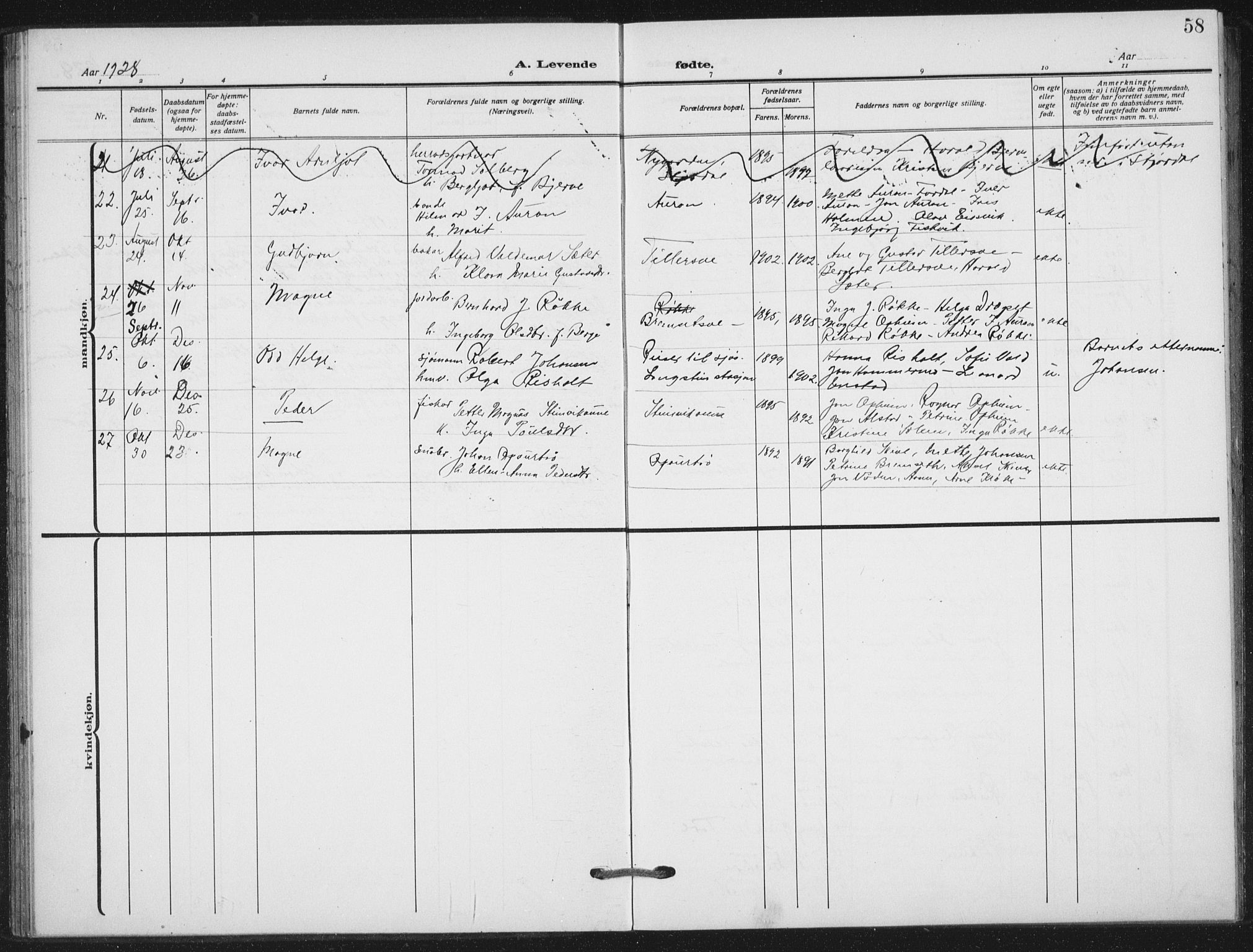Ministerialprotokoller, klokkerbøker og fødselsregistre - Nord-Trøndelag, SAT/A-1458/712/L0102: Parish register (official) no. 712A03, 1916-1929, p. 58
