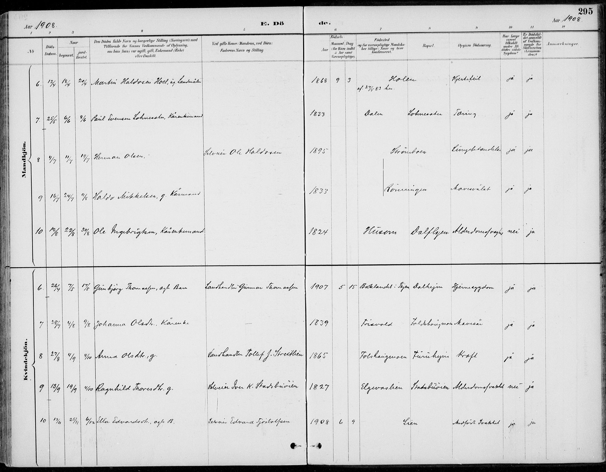 Alvdal prestekontor, AV/SAH-PREST-060/H/Ha/Haa/L0003: Parish register (official) no. 3, 1886-1912, p. 295