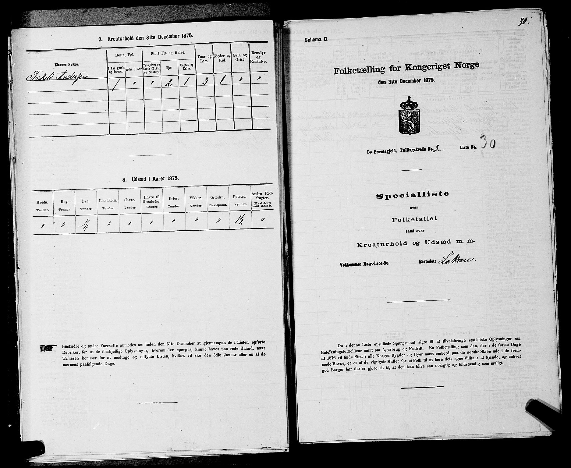 SAKO, 1875 census for 0821P Bø, 1875, p. 417