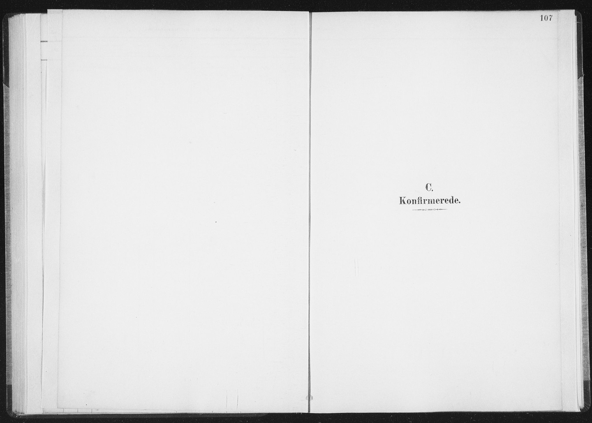 Ministerialprotokoller, klokkerbøker og fødselsregistre - Nordland, AV/SAT-A-1459/898/L1422: Parish register (official) no. 898A02, 1887-1908, p. 107
