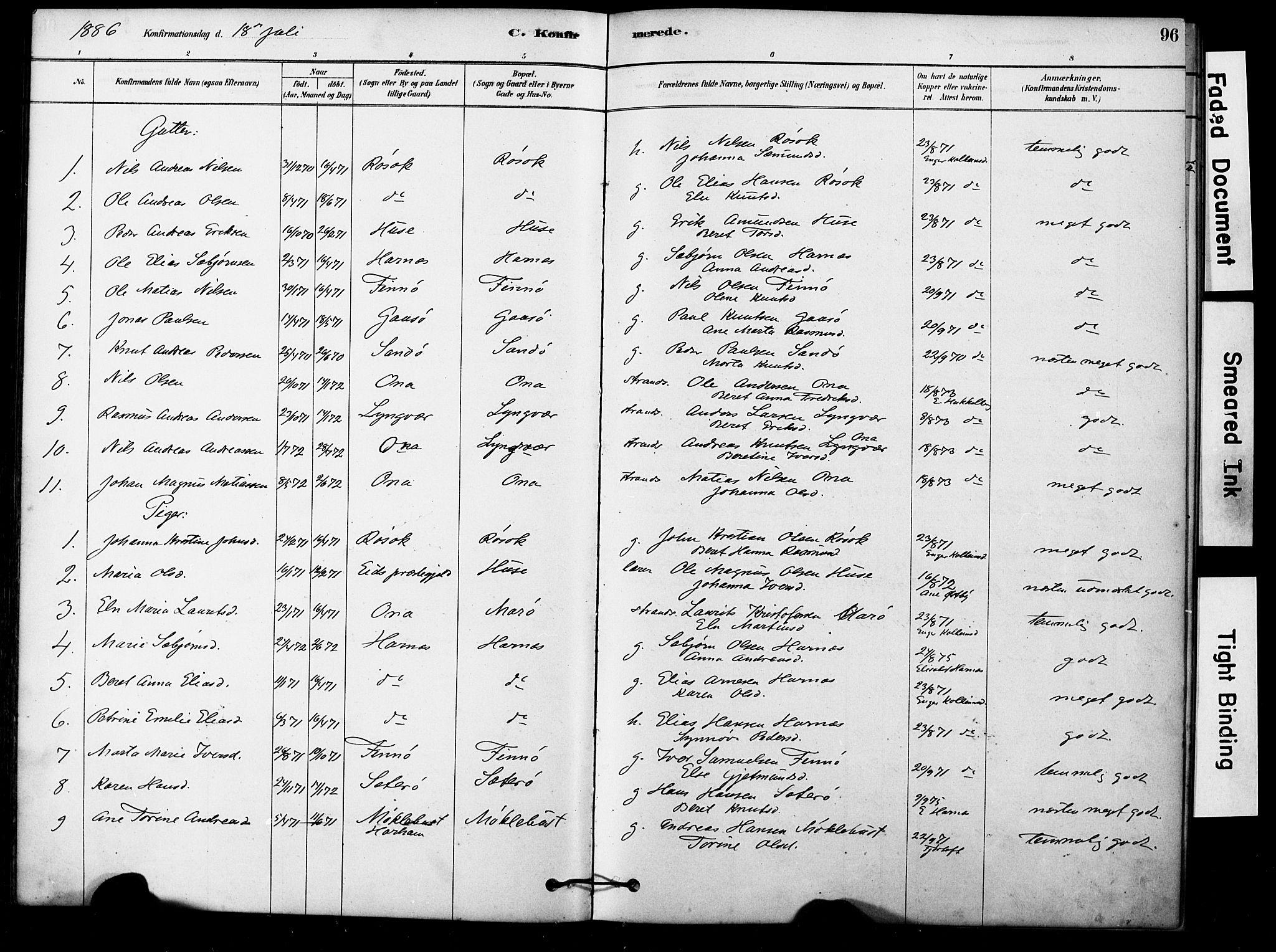 Ministerialprotokoller, klokkerbøker og fødselsregistre - Møre og Romsdal, AV/SAT-A-1454/561/L0729: Parish register (official) no. 561A03, 1878-1900, p. 96