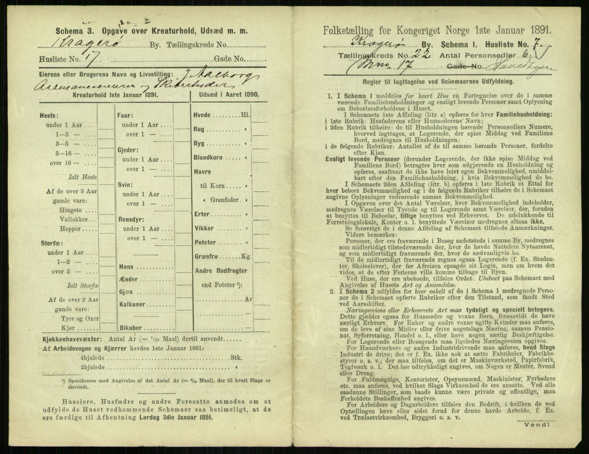 RA, 1891 census for 0801 Kragerø, 1891, p. 872