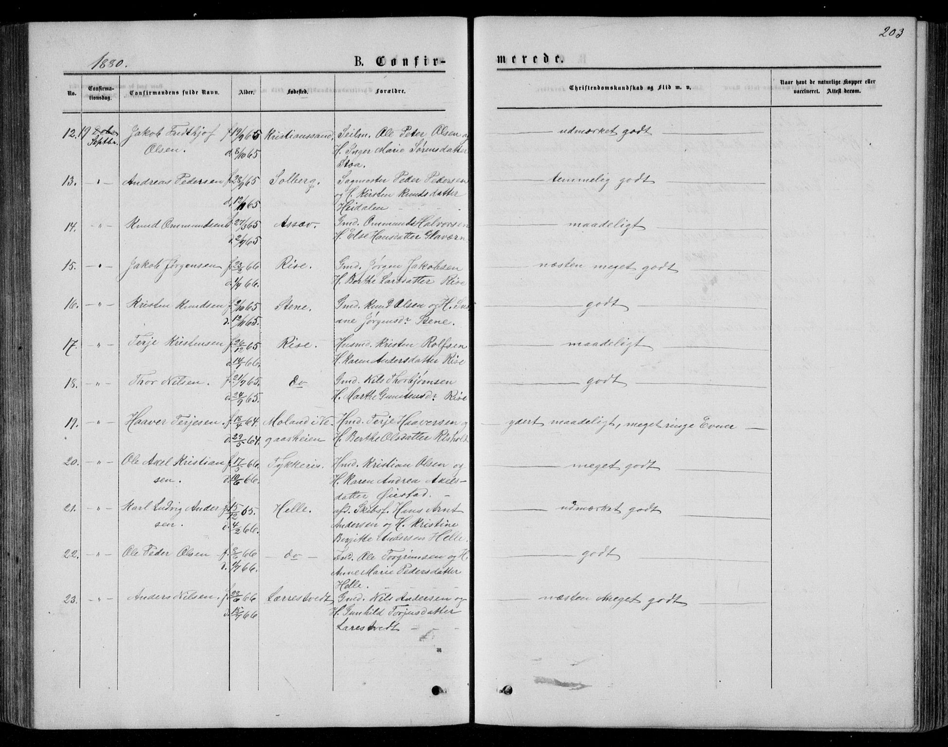Øyestad sokneprestkontor, AV/SAK-1111-0049/F/Fb/L0008: Parish register (copy) no. B 8, 1872-1886, p. 203