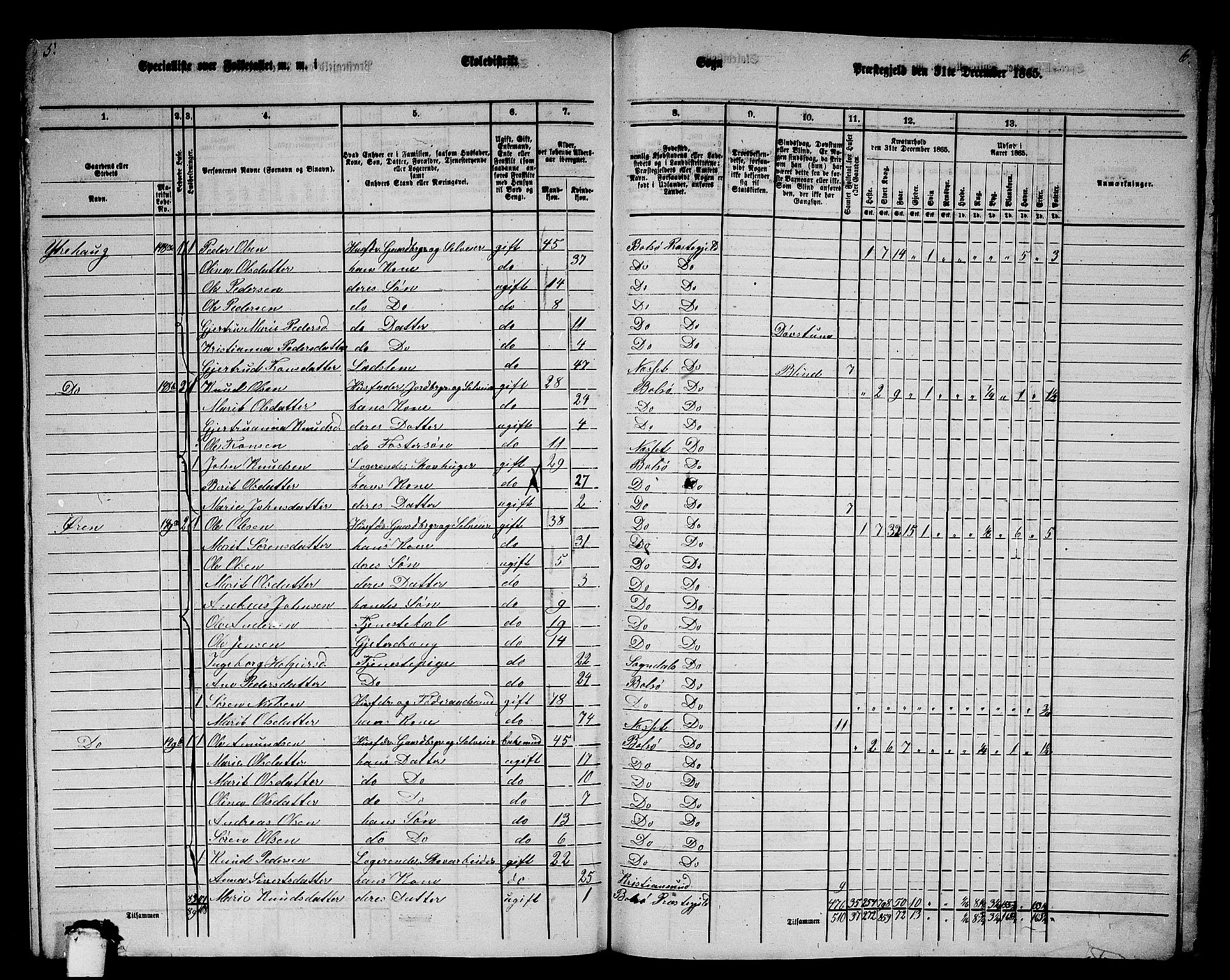 RA, 1865 census for Bolsøy, 1865, p. 126