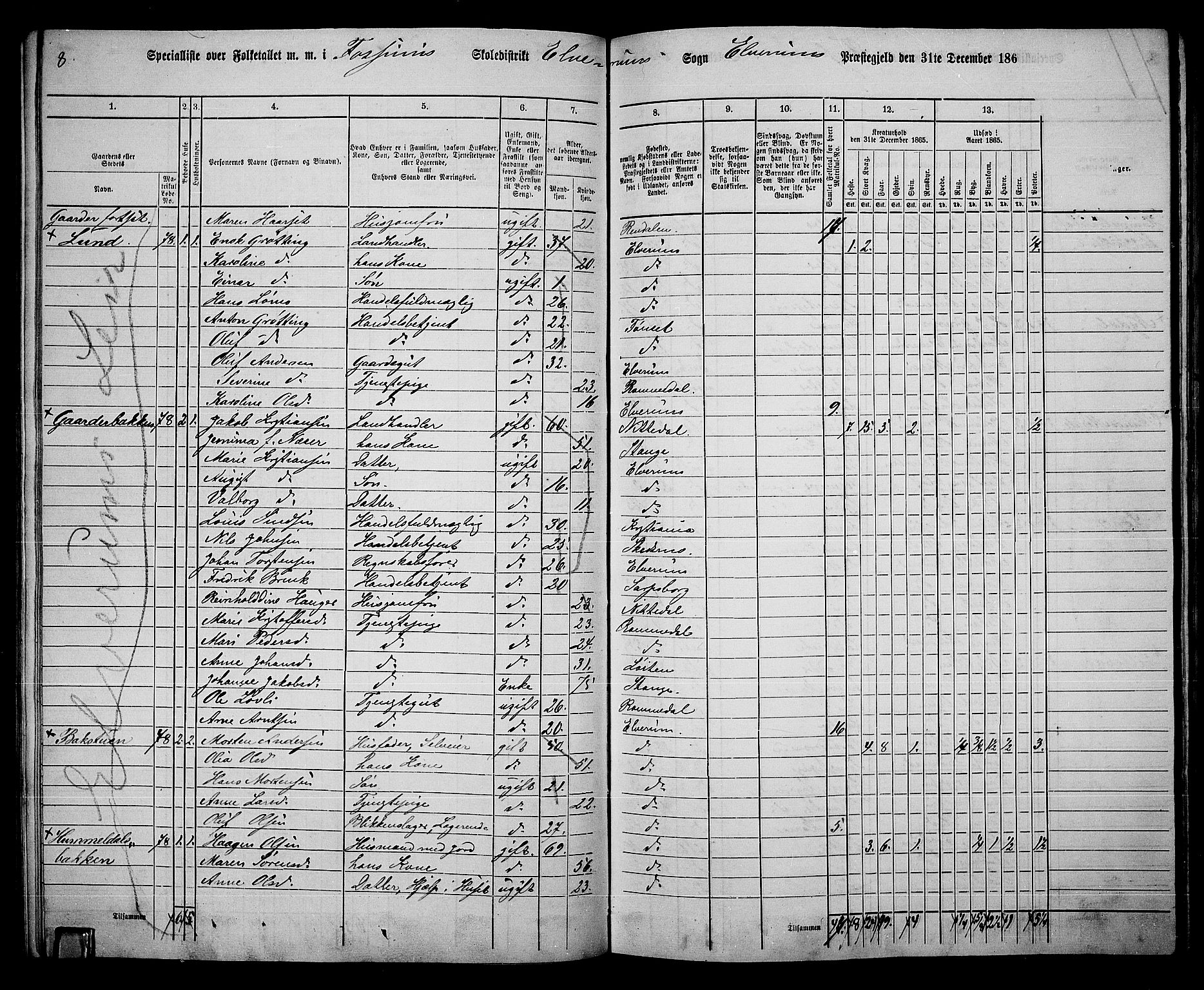 RA, 1865 census for Elverum, 1865, p. 94