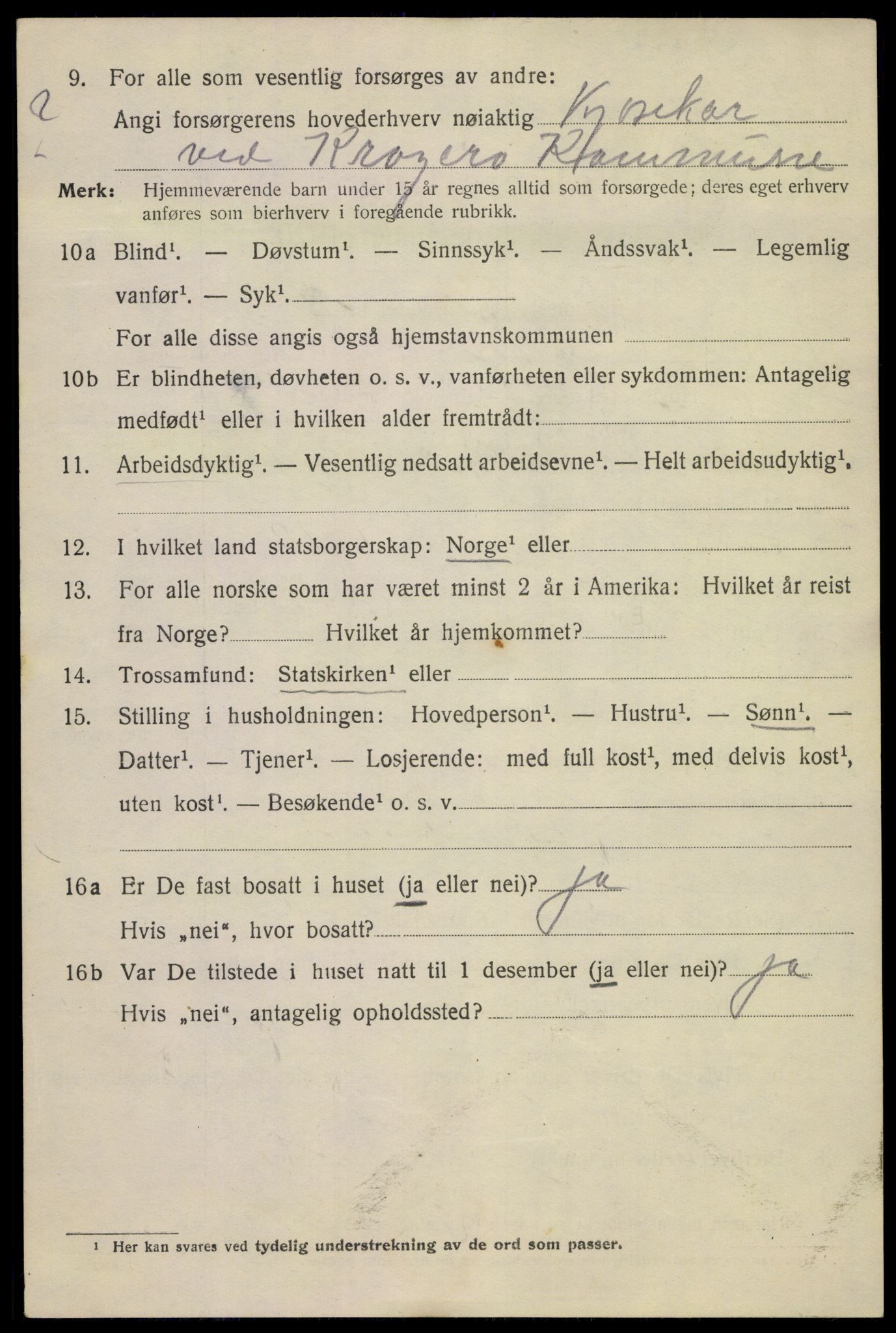 SAKO, 1920 census for Kragerø, 1920, p. 8240
