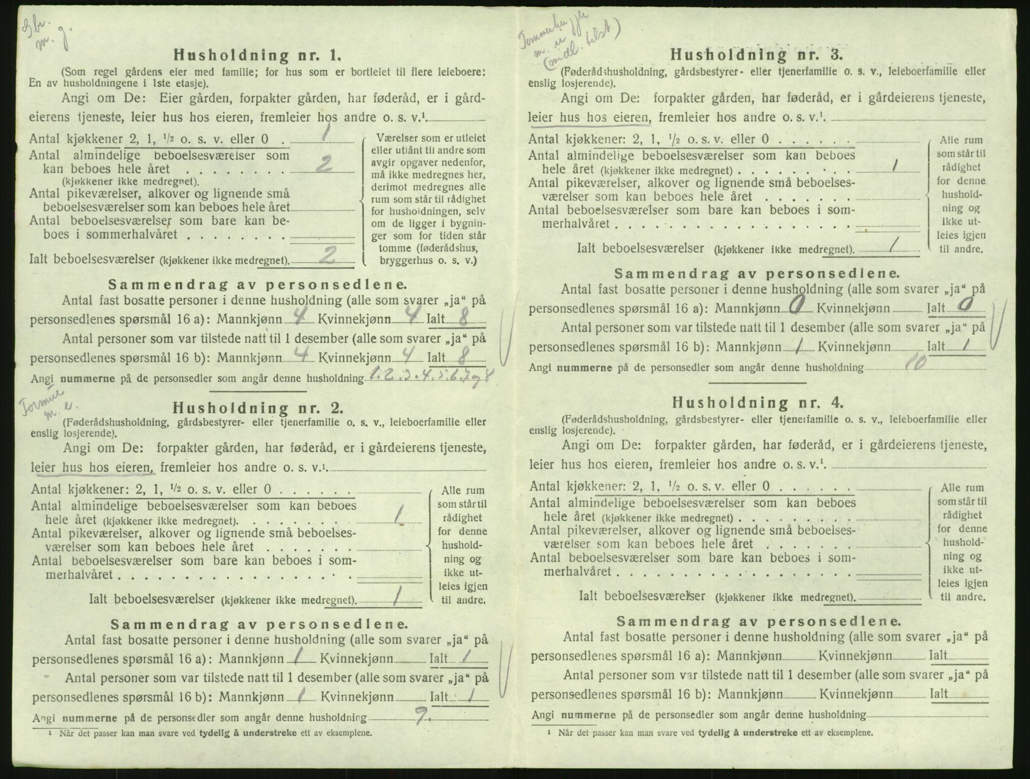 SAK, 1920 census for Hornnes, 1920, p. 428